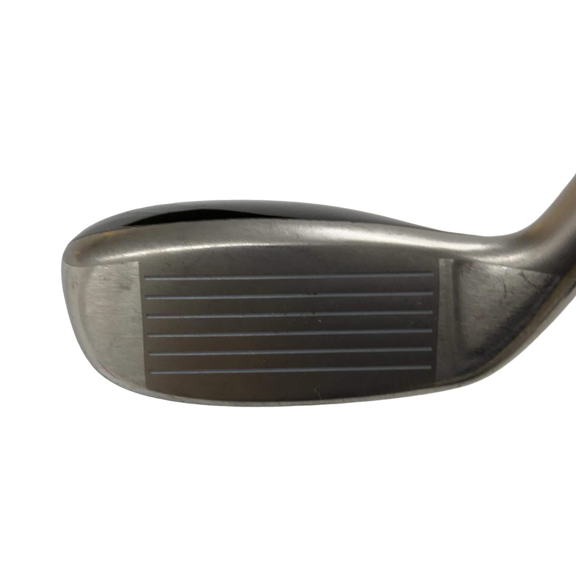 �u�q�@�o�q�n�@���[�e�B���e�B�@�t�Q