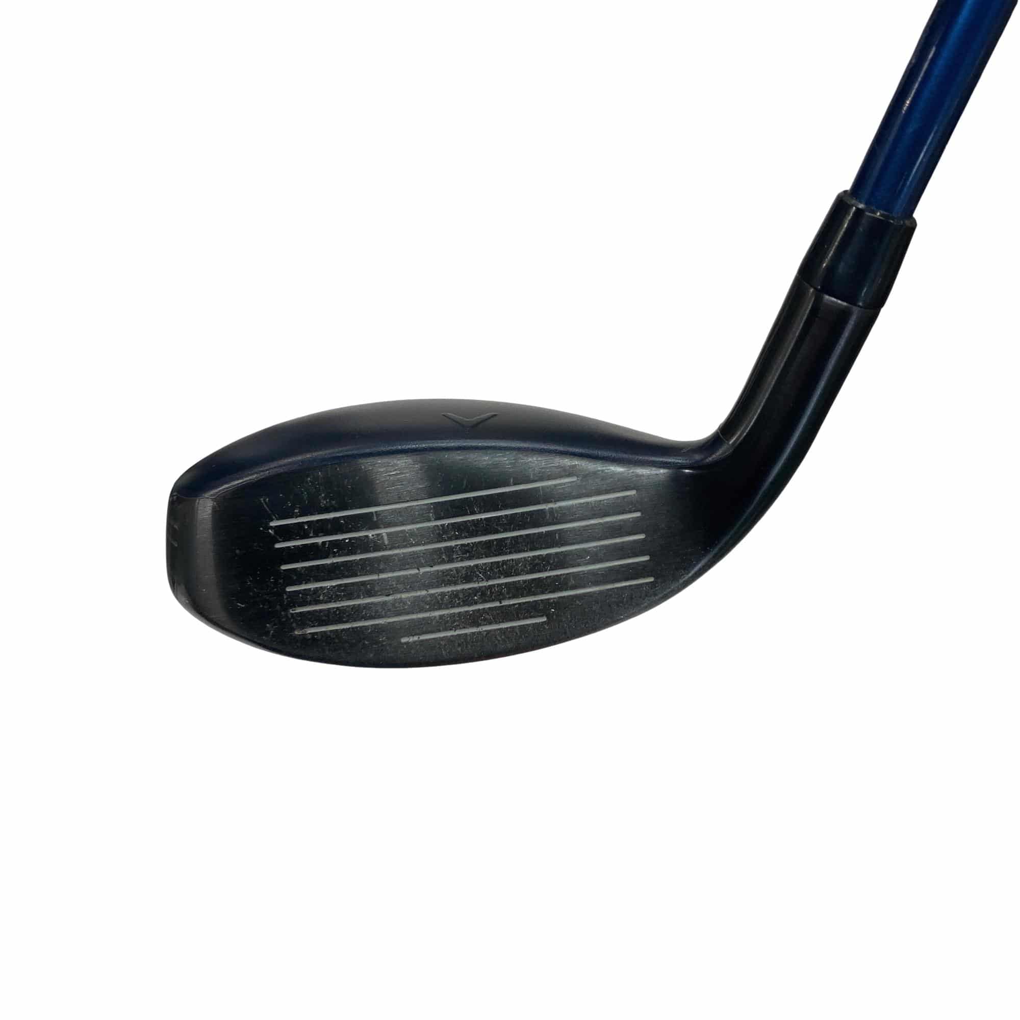 �w�q�@�t�T