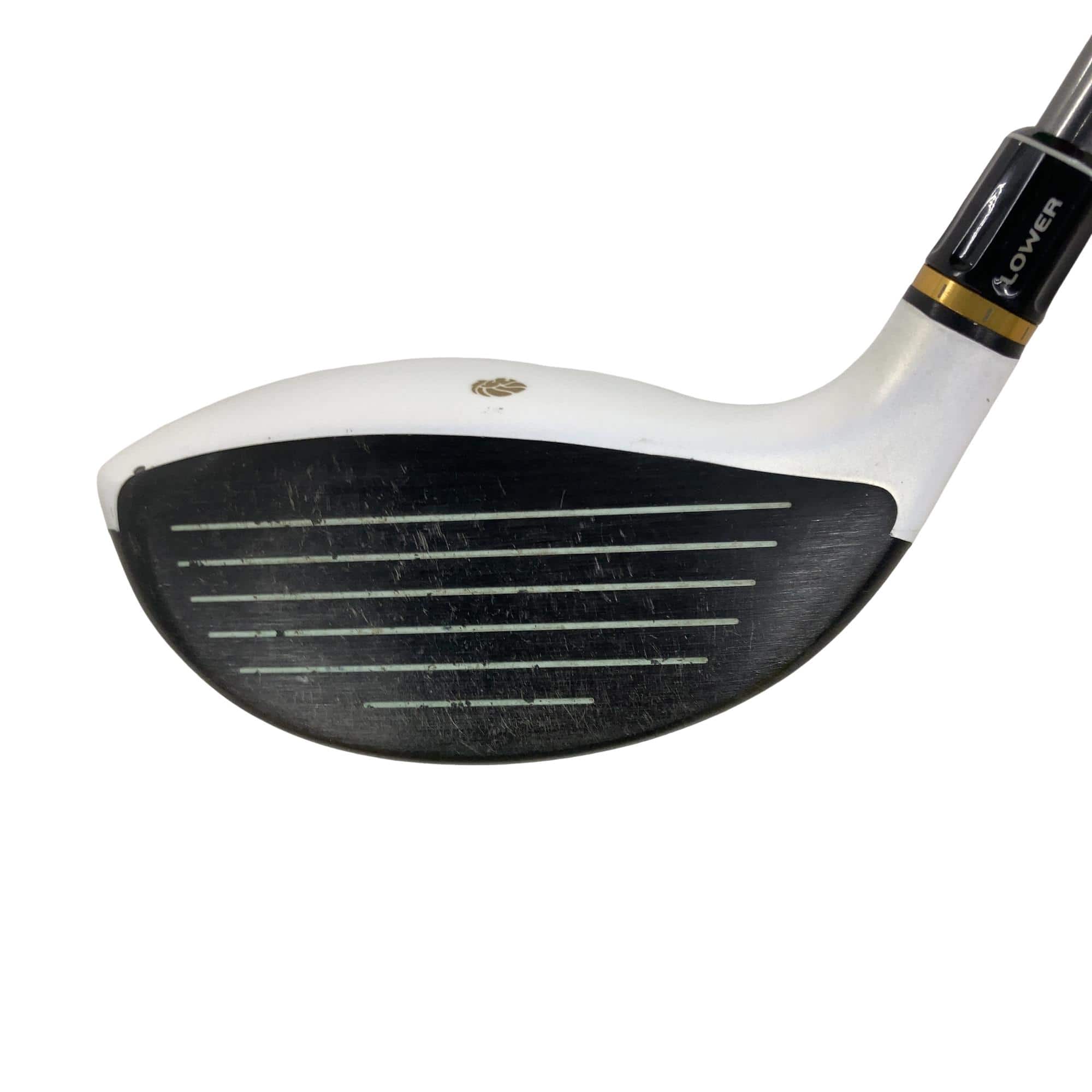 �f�k�n�h�q�d�@�T�v