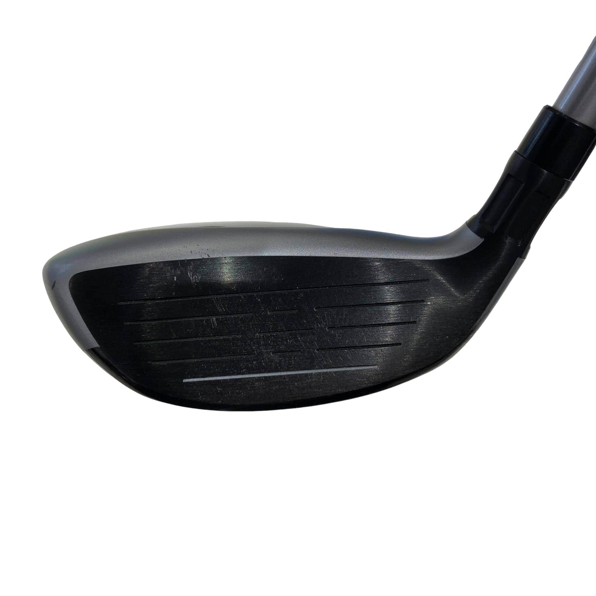 �l�S�i�Q�O�Q�P�j�@�t�T�@���f�B�[�X