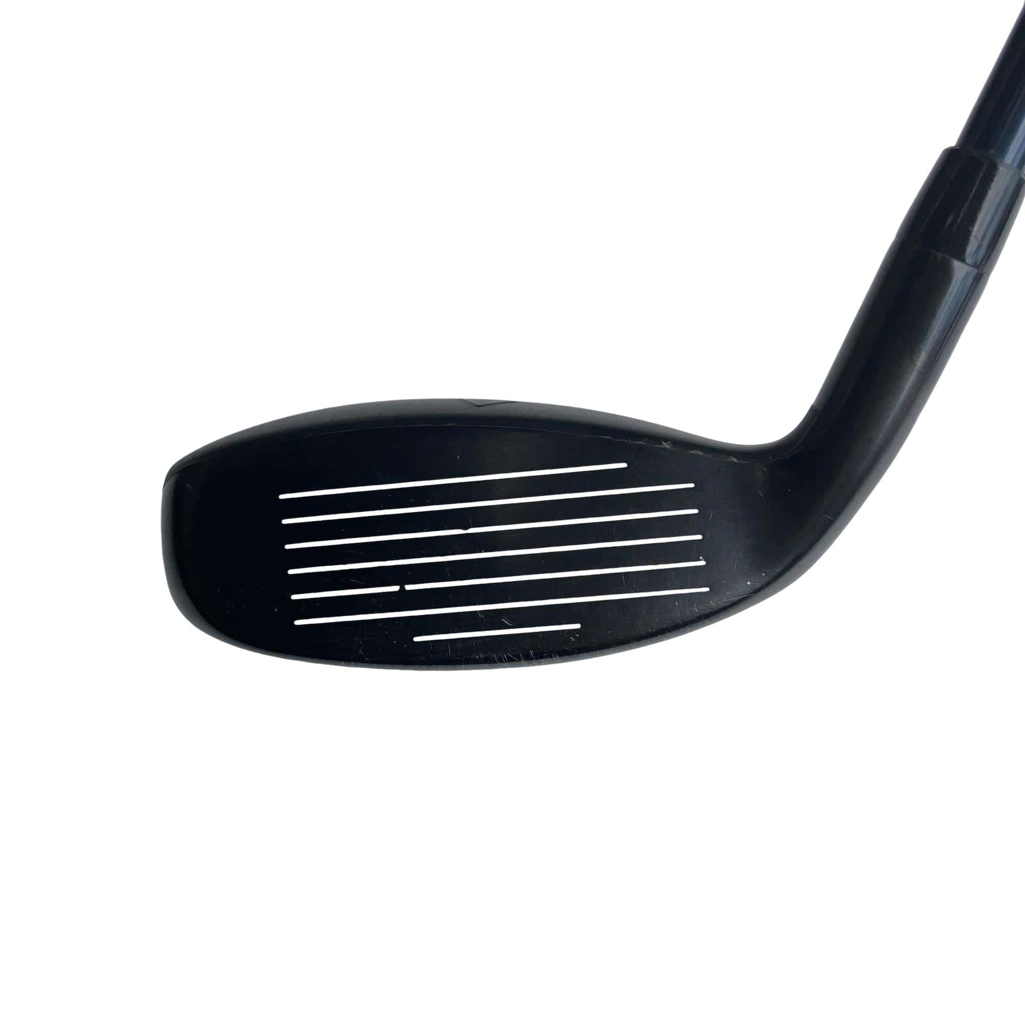 �w�q�@�P�U�@�n�r�@�t�R