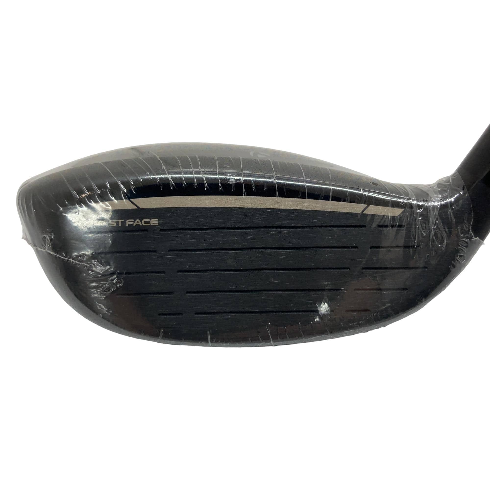 �p���P�O�@�l�`�w�@�t�U�@���f�B�[�X