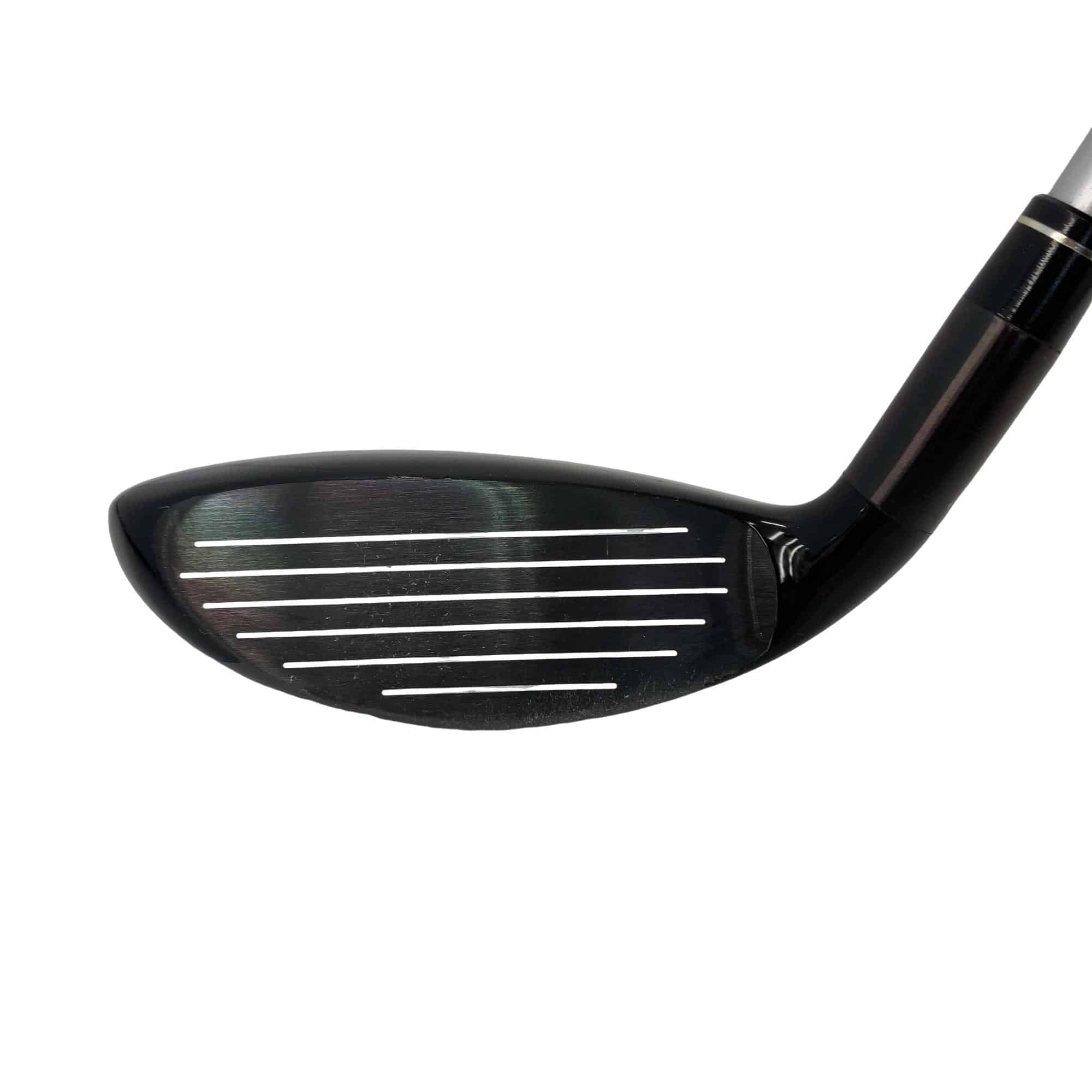 �w�@�g�n�s�@�t�S