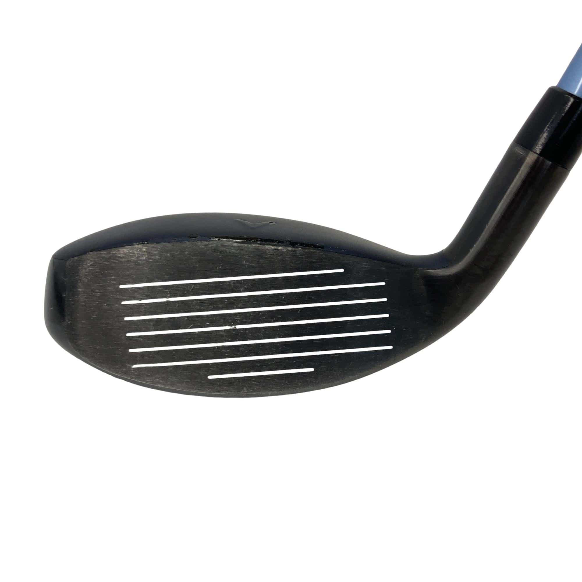 �w�q�@�t�S�@���f�B�[�X