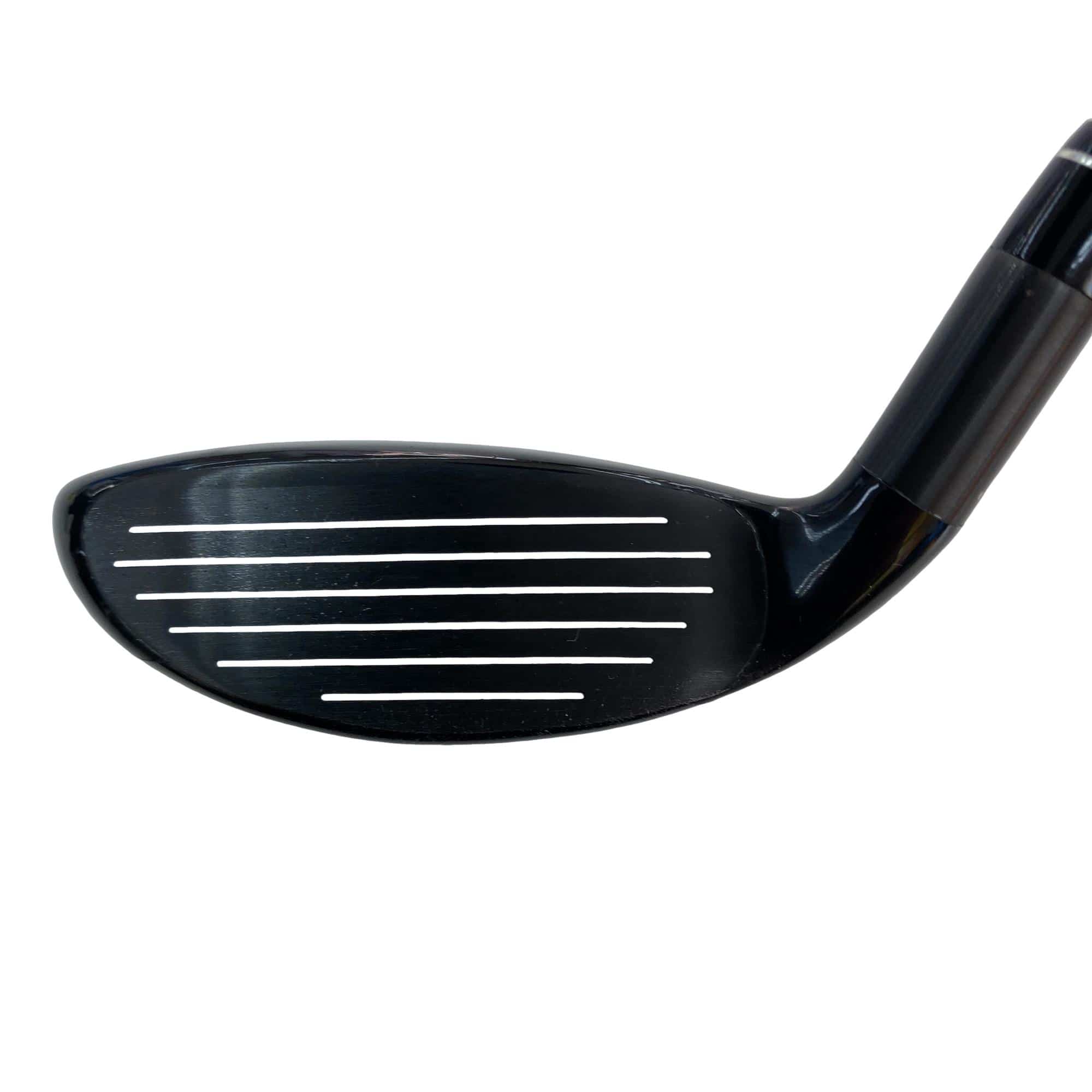 �w�@�g�n�s�@�t�R