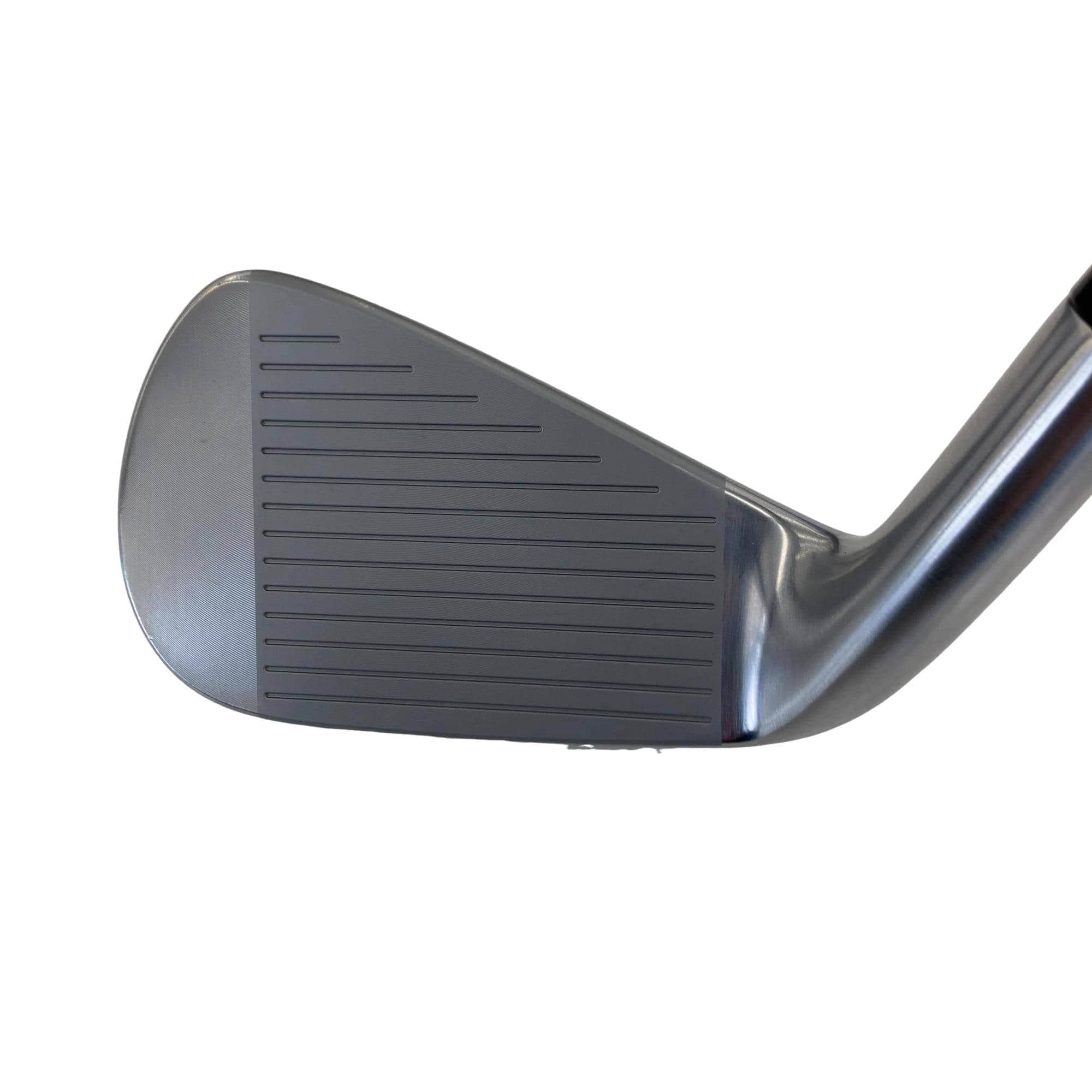 �s�����������@�l�������@�o�E�W�b�a�i�Q�O�Q�T�j�@�T�r�i���{���F�T�{�Z�b�g�j