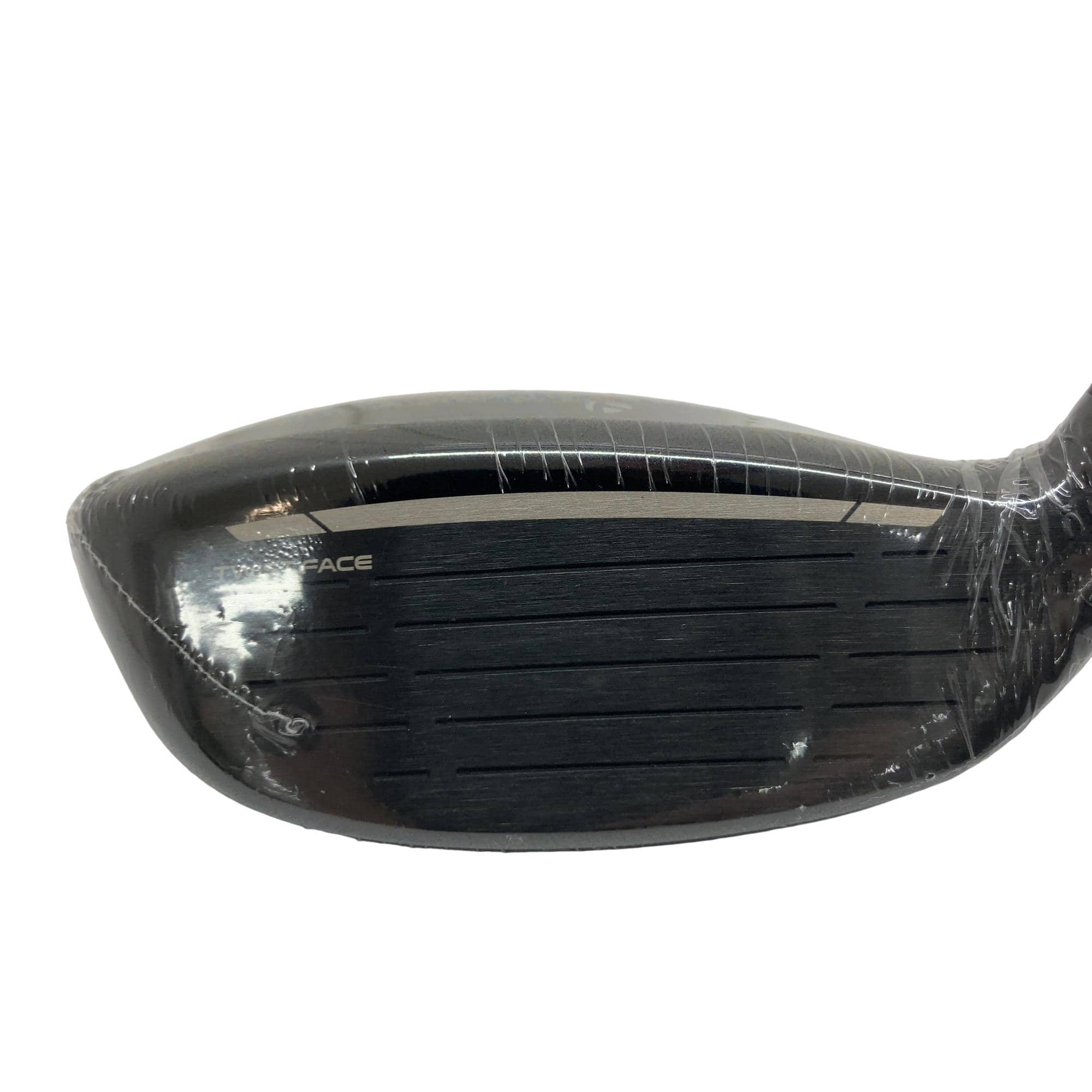 �p���P�O�@�l�`�w�@�t�U�@���f�B�[�X