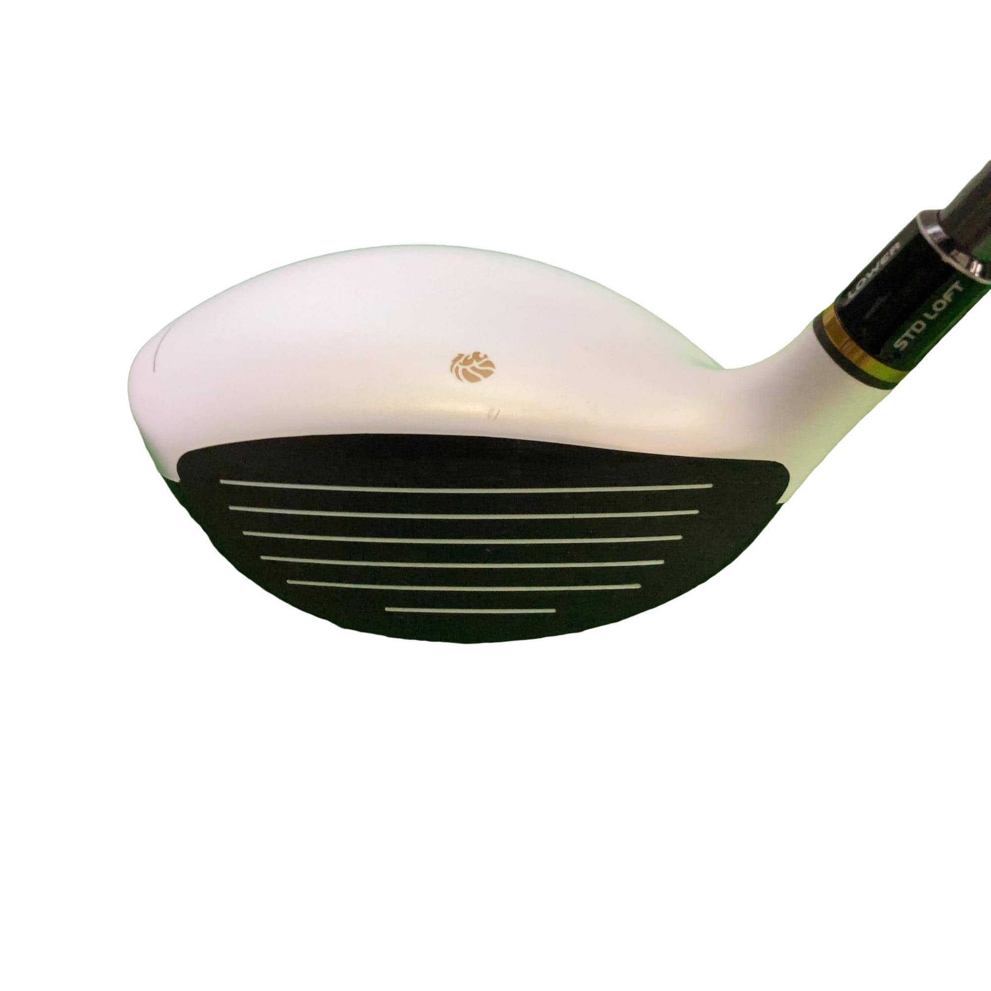 �f�k�n�h�q�d�@�R�v