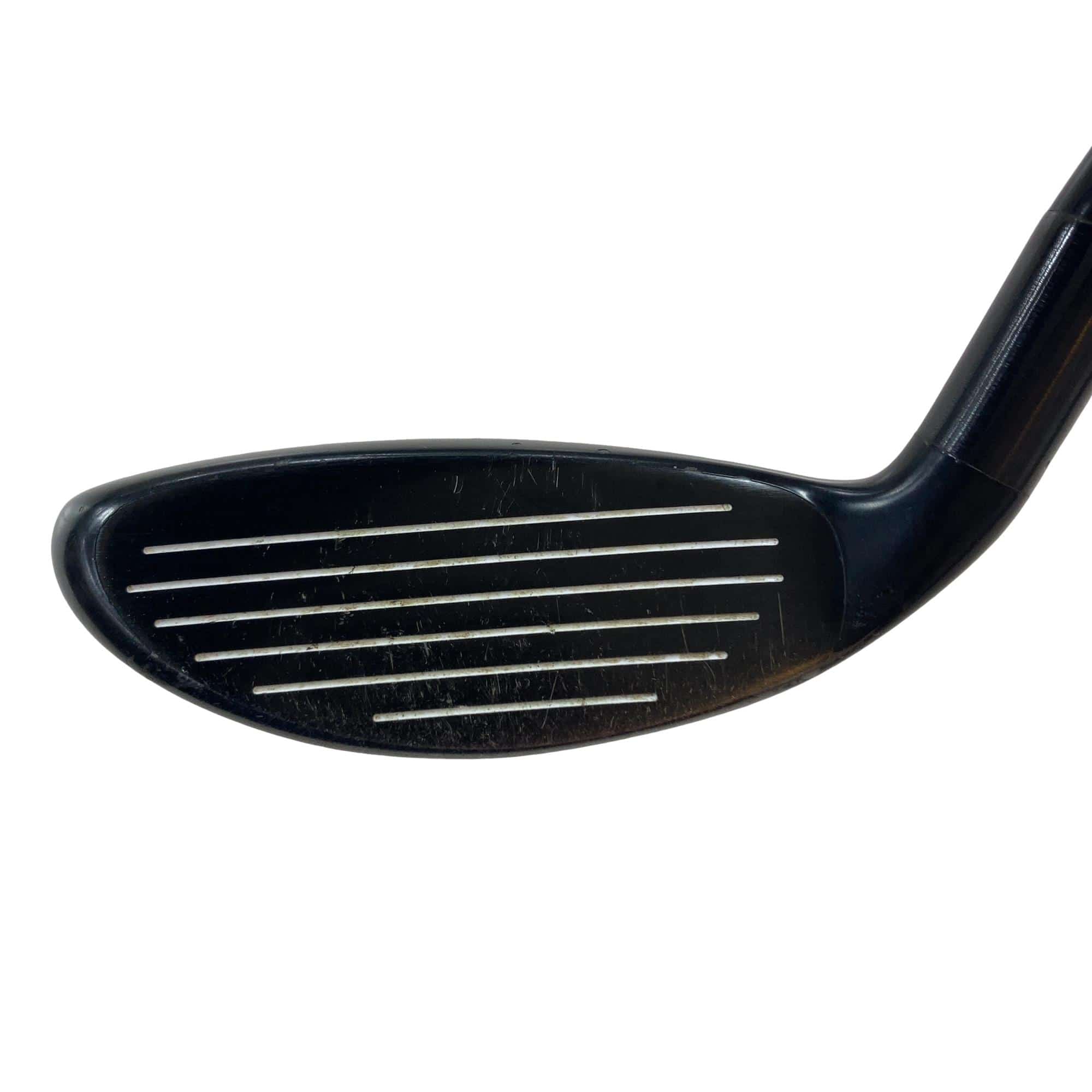 �w�@�g�n�s�@�t�S