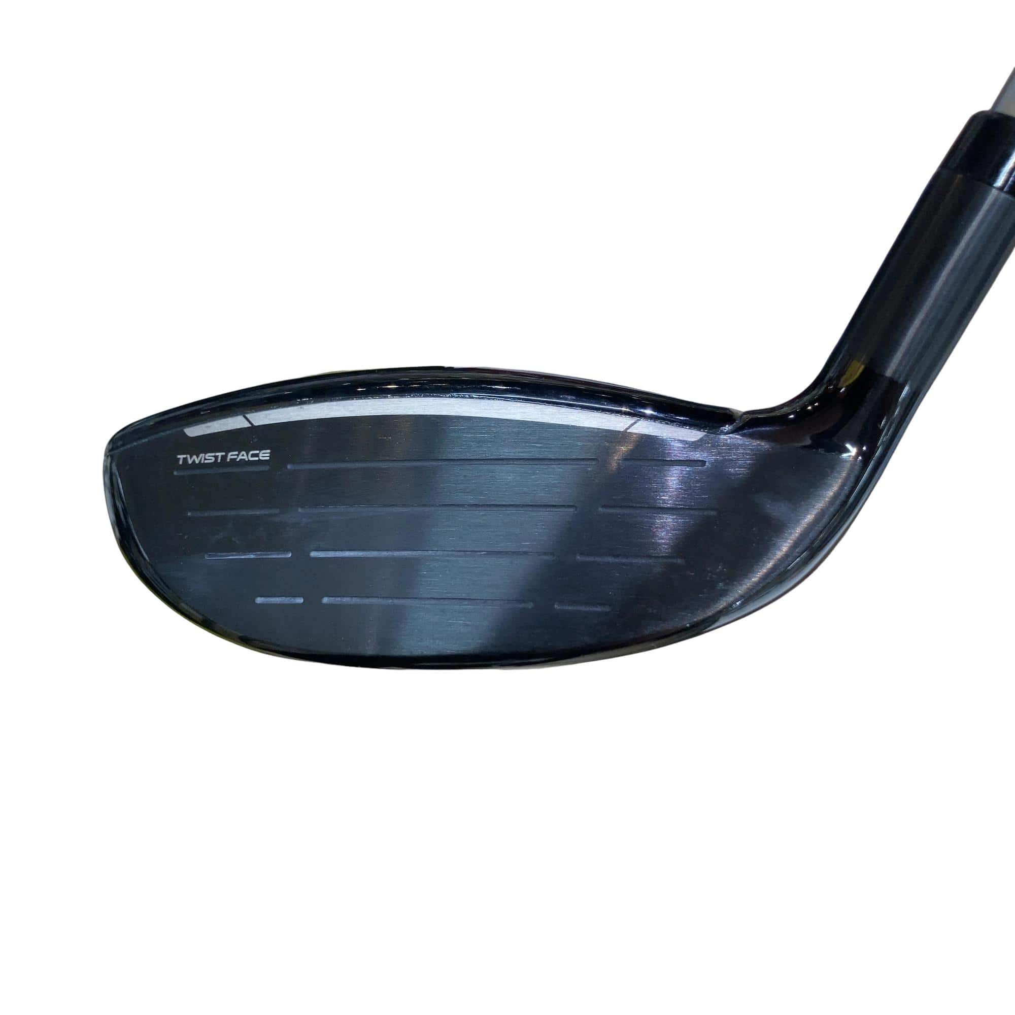 �p���P�O�@�l�`�w�@�T�v�@���f�B�[�X