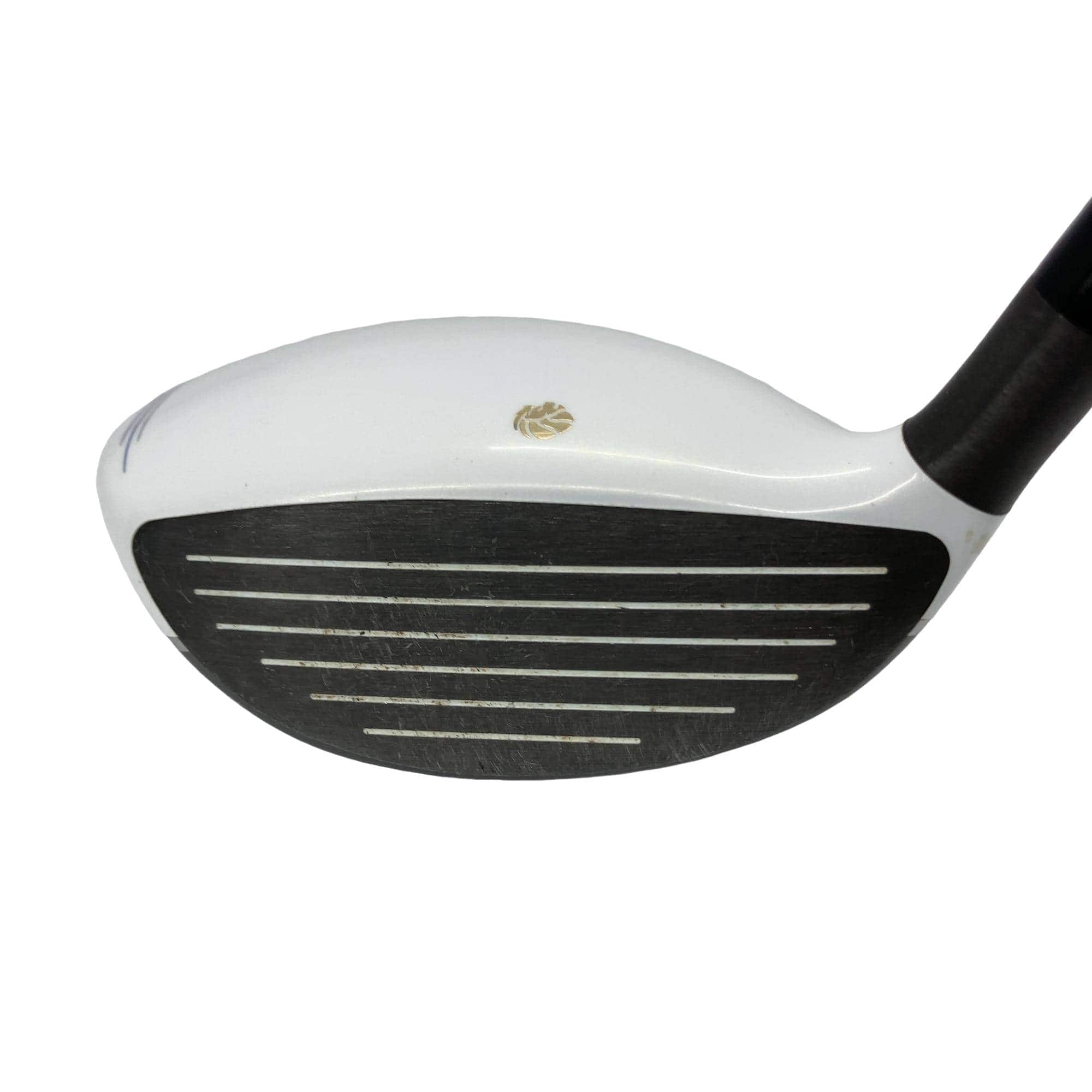 �f�k�n�h�q�d�@�e�@�V�v