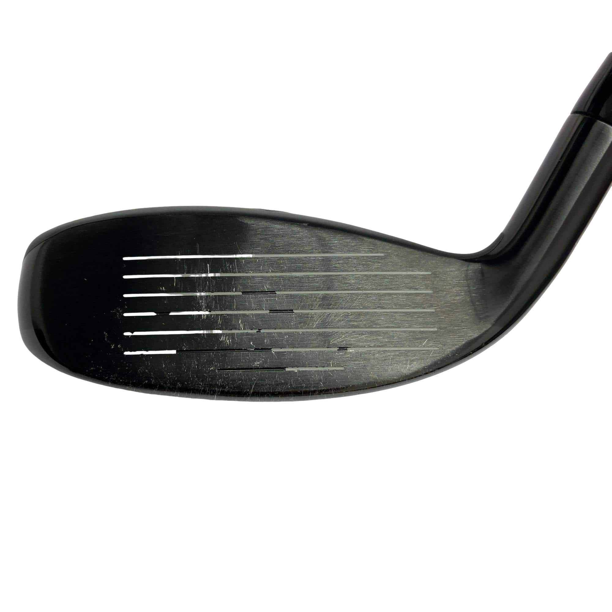 �w�q�@�P�U�@�n�r�@�t�S