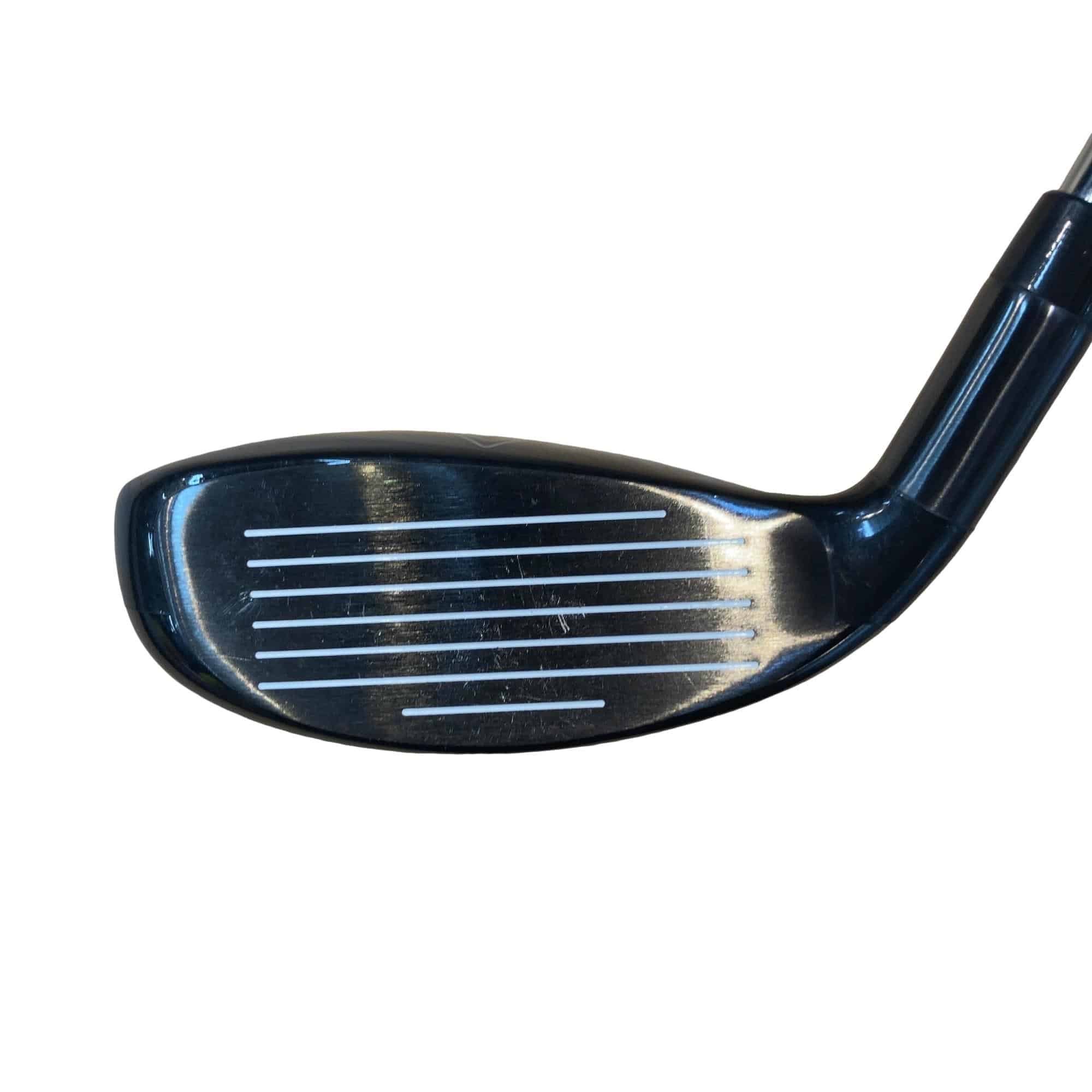 �w�Q�@�g�n�s�@�t�R