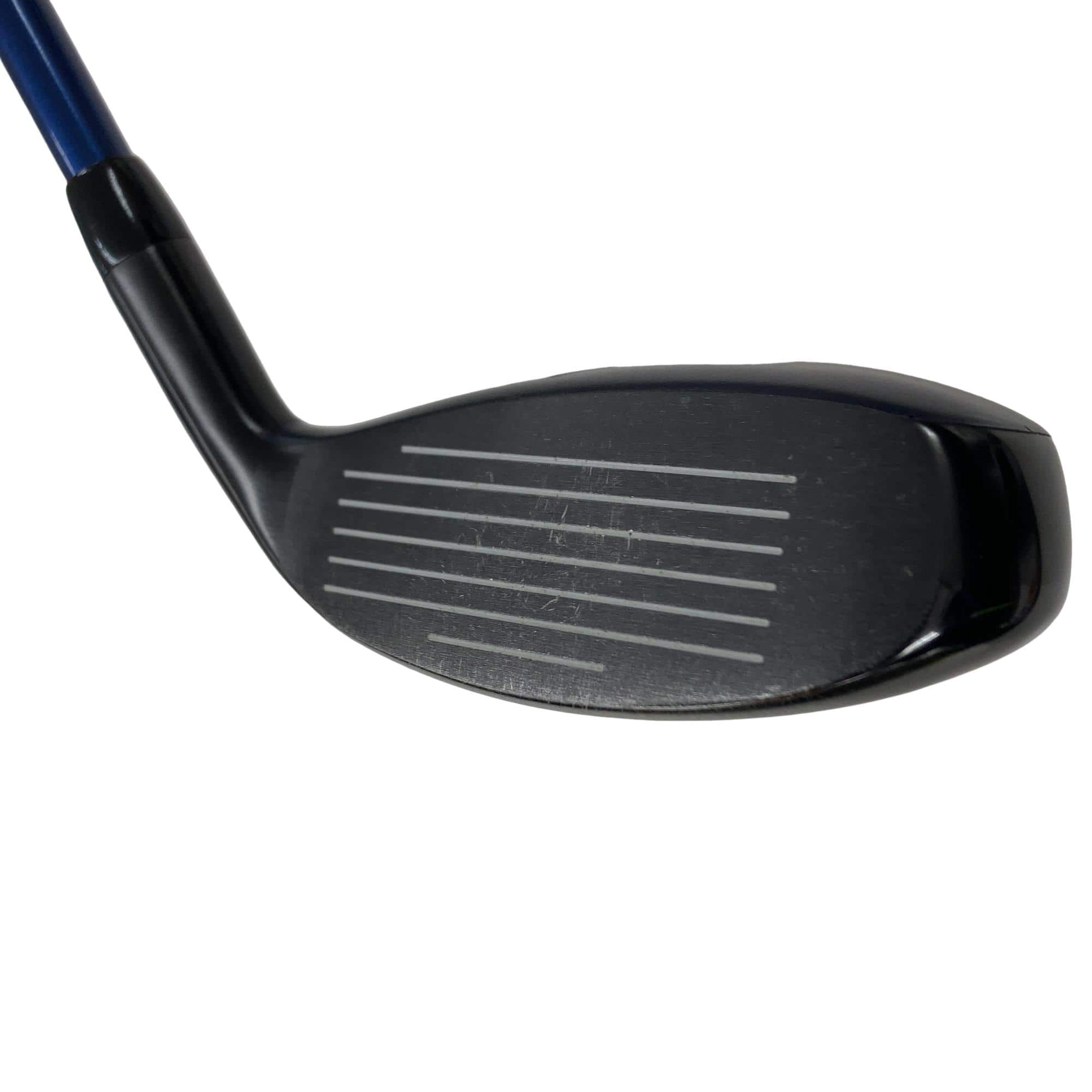 �w�q�@�t�T�@���t�e�B