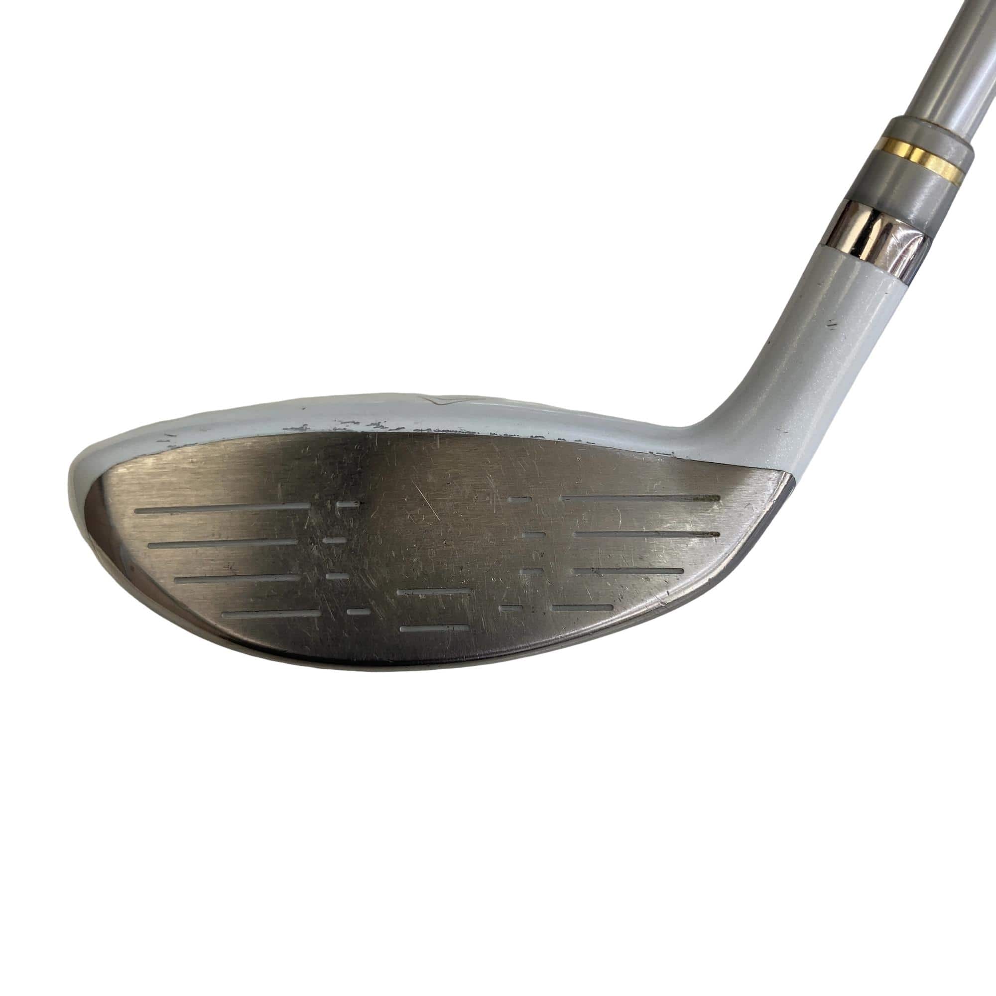 �����������i�Q�O�P�T�j�@�T�v�@���f�B�[�X