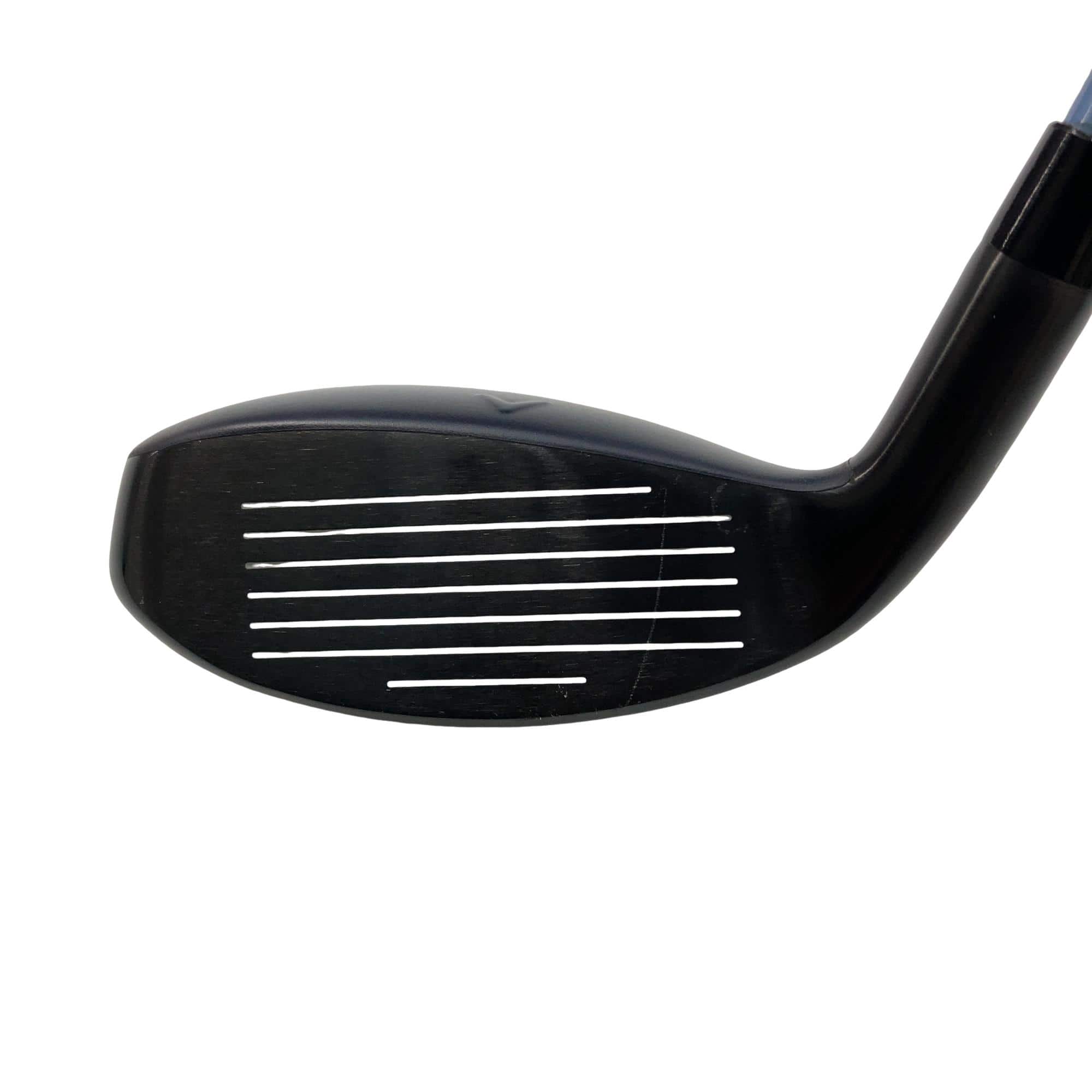 �w�q�@�t�T�@���f�B�[�X