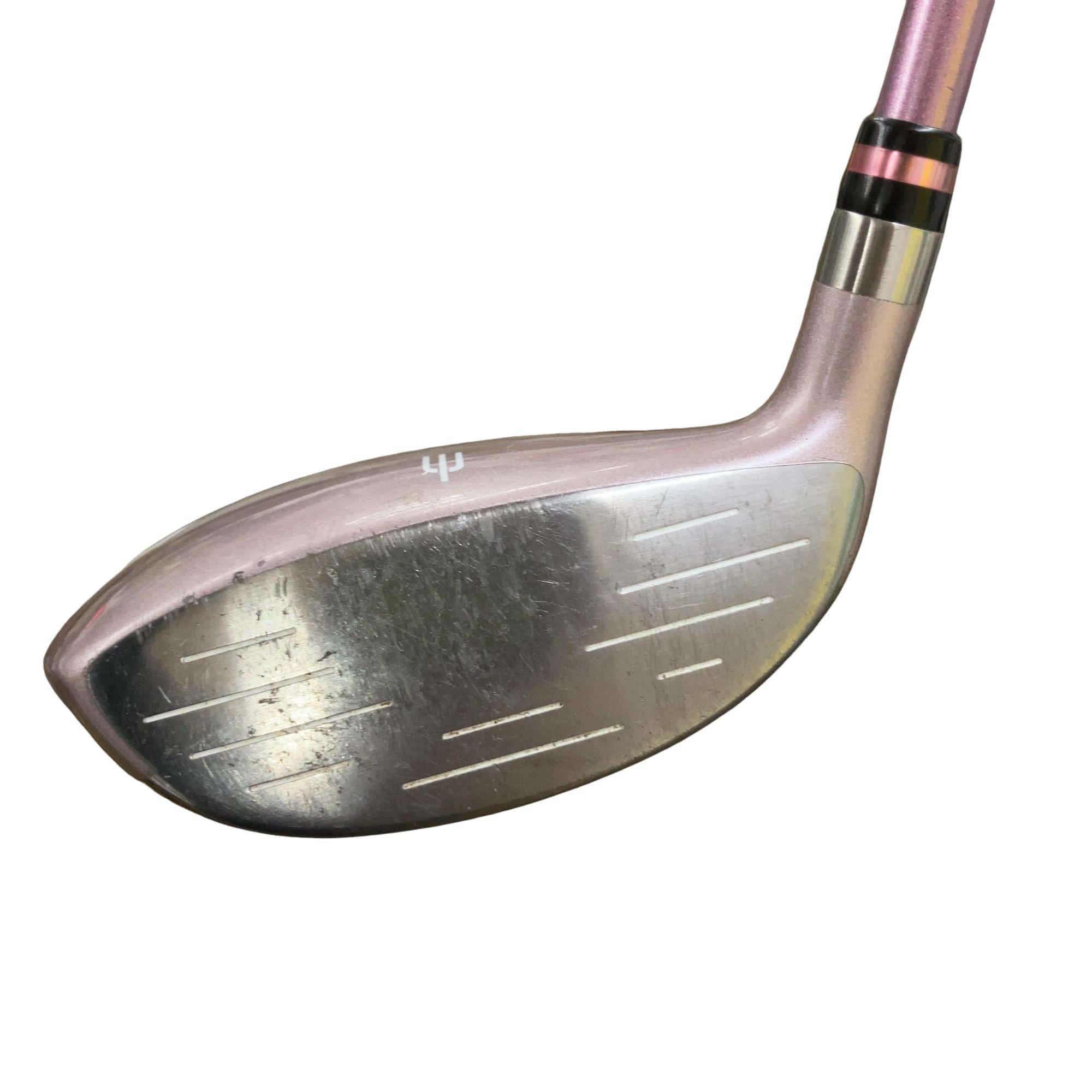 �d�t�q�t�r�@�T�v�@���f�B�[�X