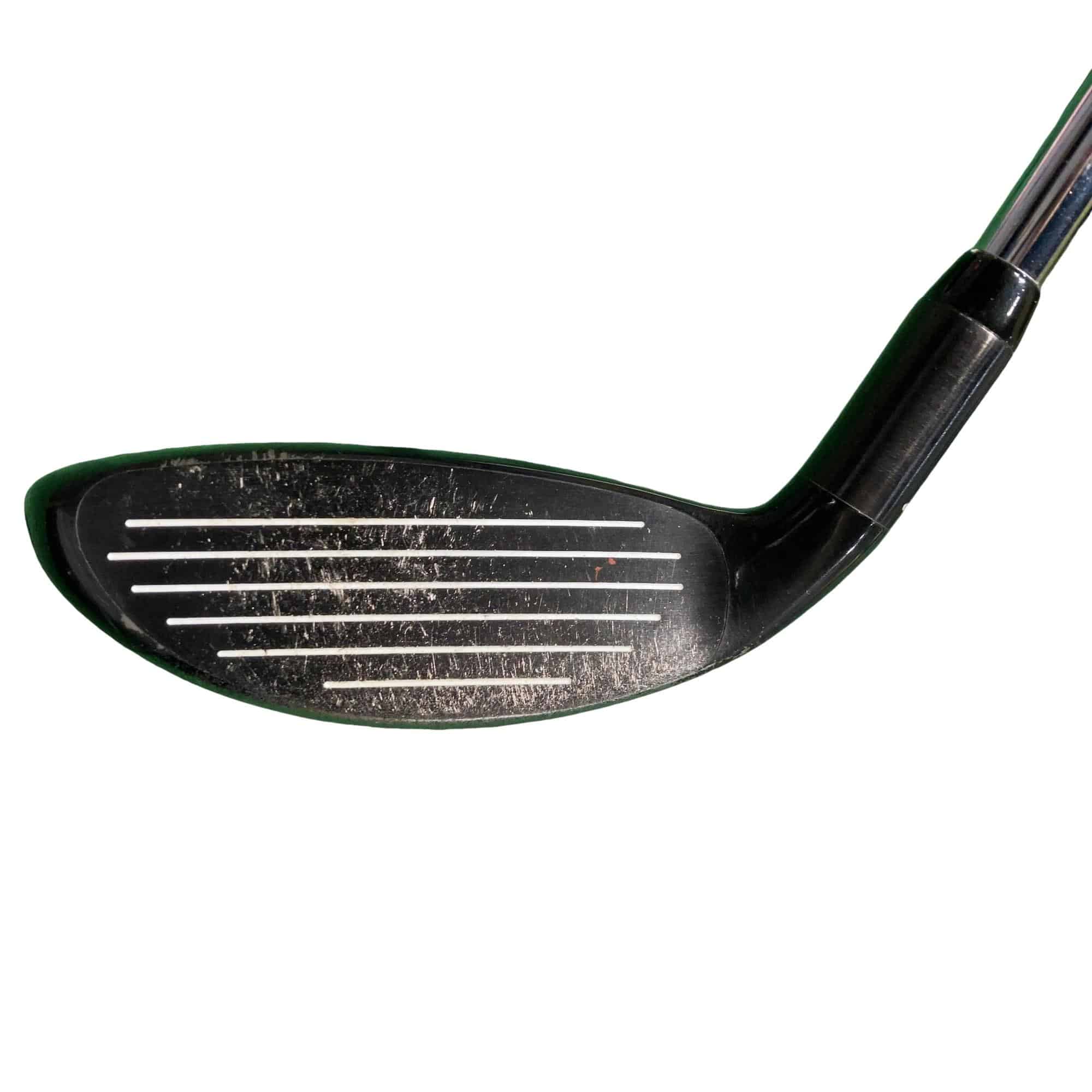 �w�@�g�n�s�@�t�S