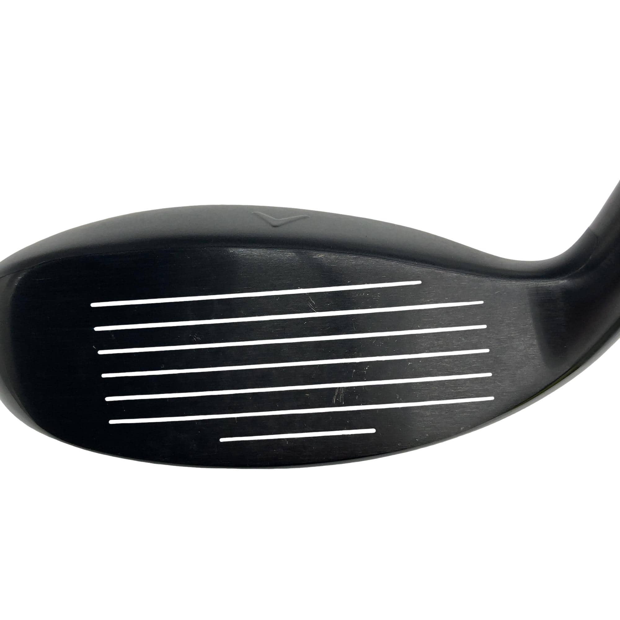 �w�q�@�P�U�@�n�r�@�t�R