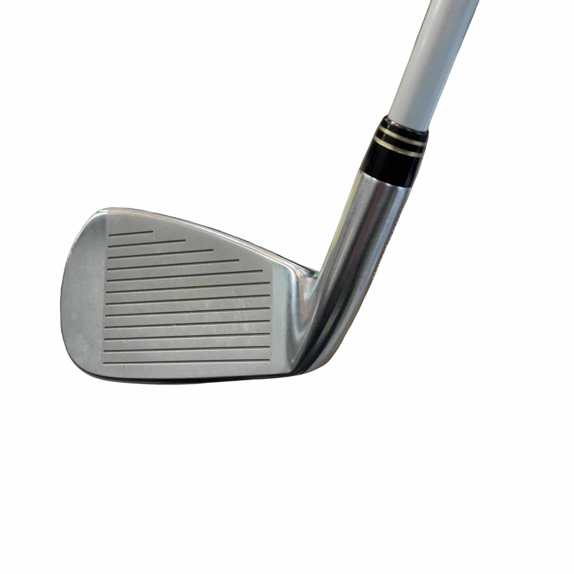 �s�b�|�S�O�S�@�T�r�@���f�B�[�X�i���{���F�T�{�Z�b�g�j