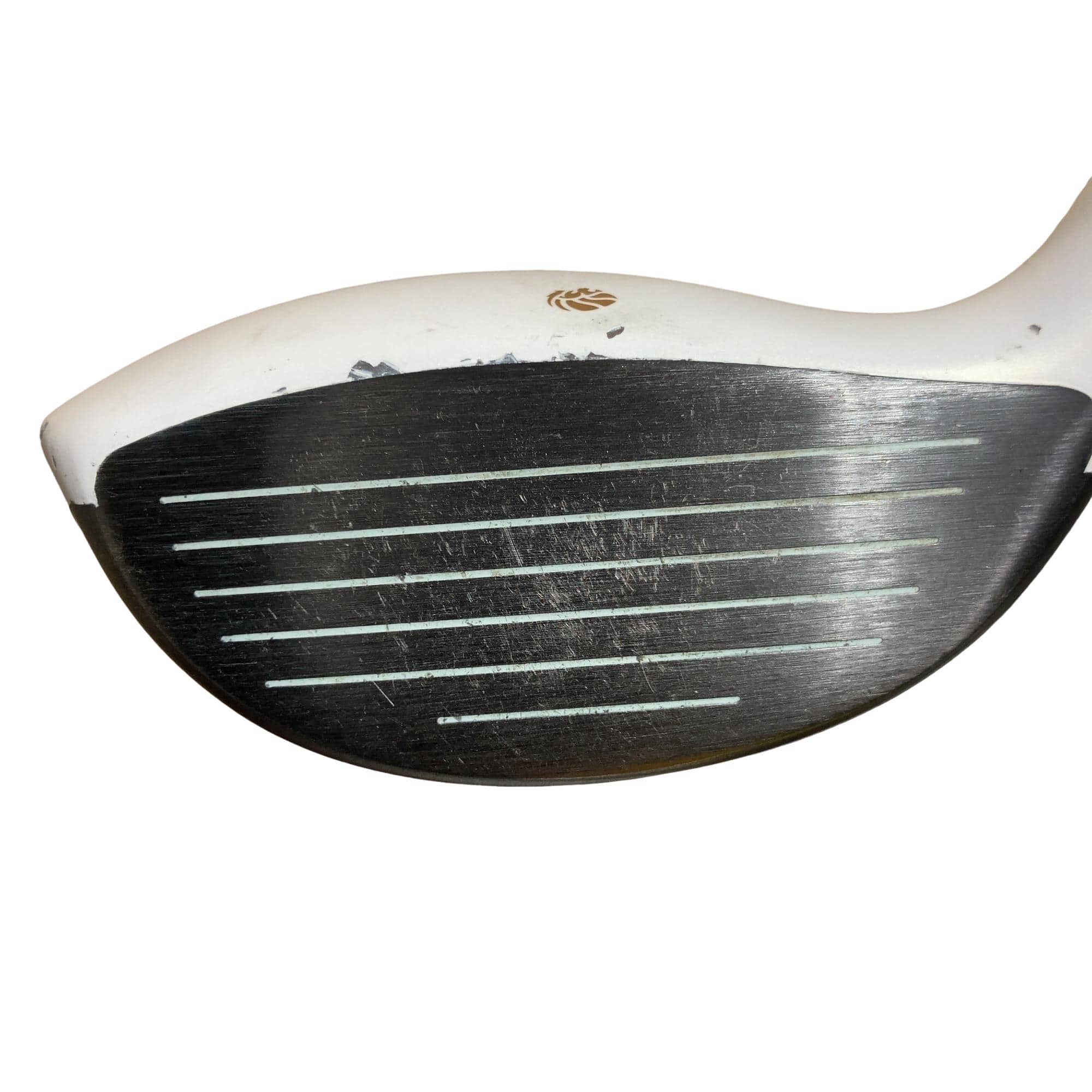 �f�k�n�h�q�d�@�T�v