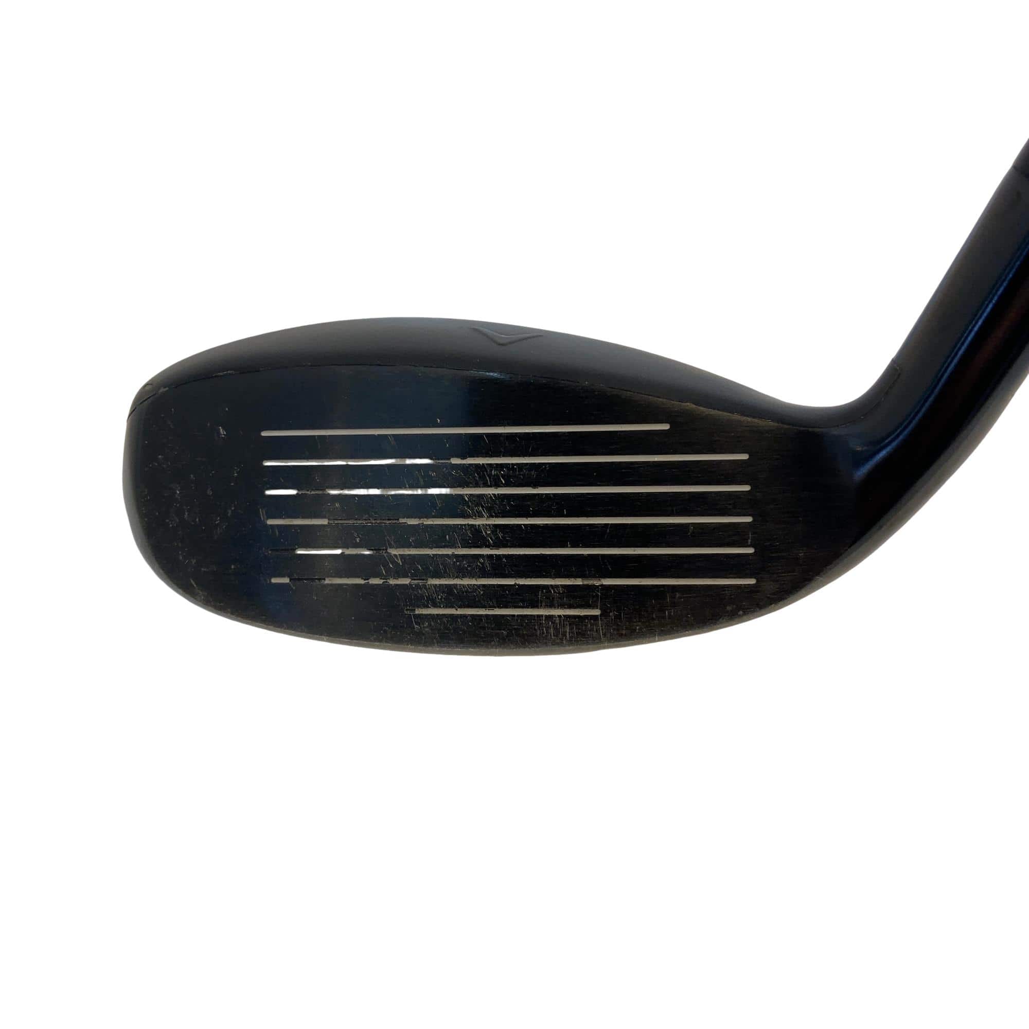 �w�q�@�P�U�@�n�r�@�t�T�@���f�B�[�X