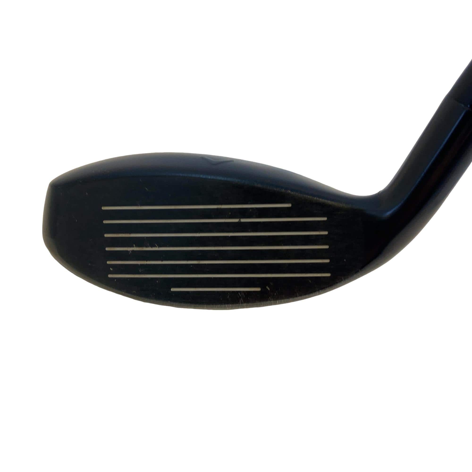 �w�q�@�t�S�@���f�B�[�X