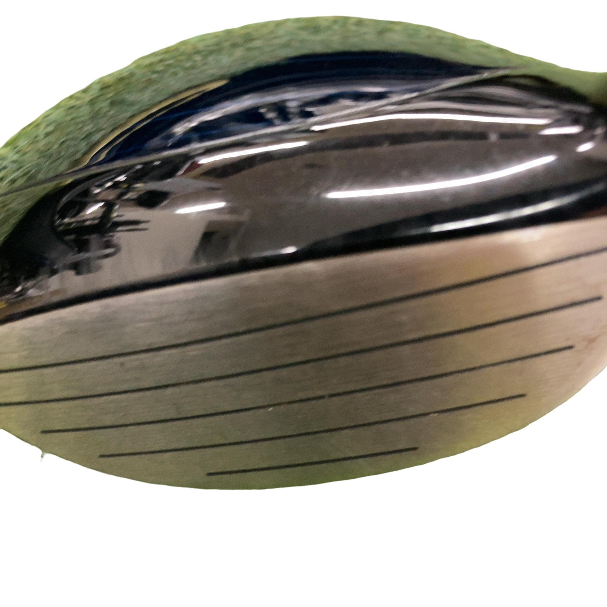 �s�n�t�q�@�a�@�w�c�|�e�i�Q�O�P�W�j�@�R�v