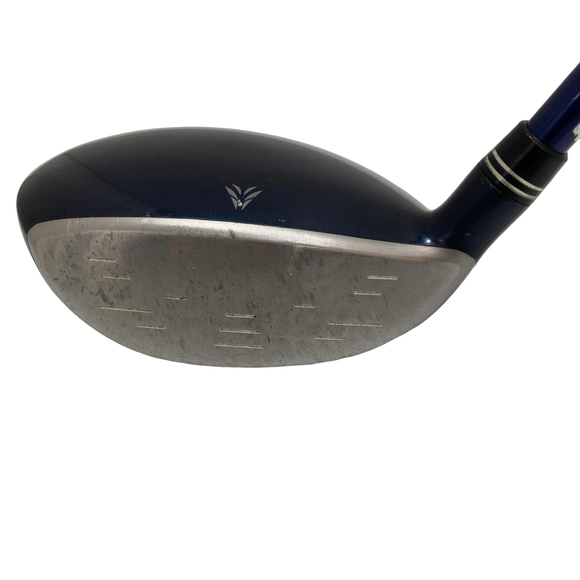 �w�w�h�n�i�Q�O�P�U�j�@�T�v�@���f�B�[�X