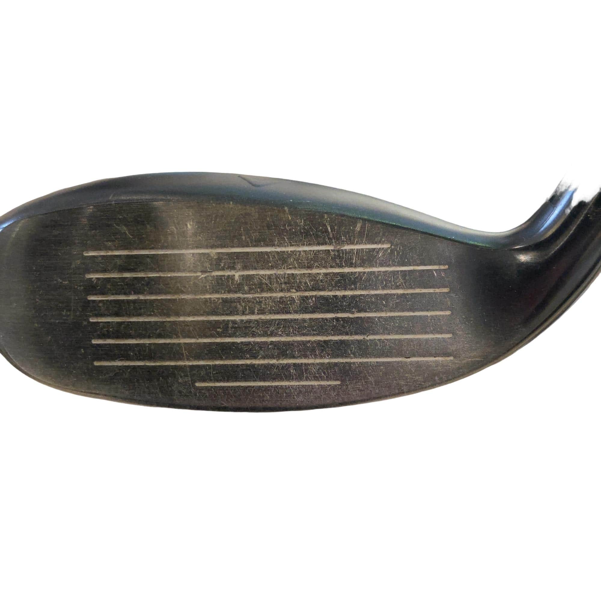 �w�q�@�P�U�@�n�r�@�t�S