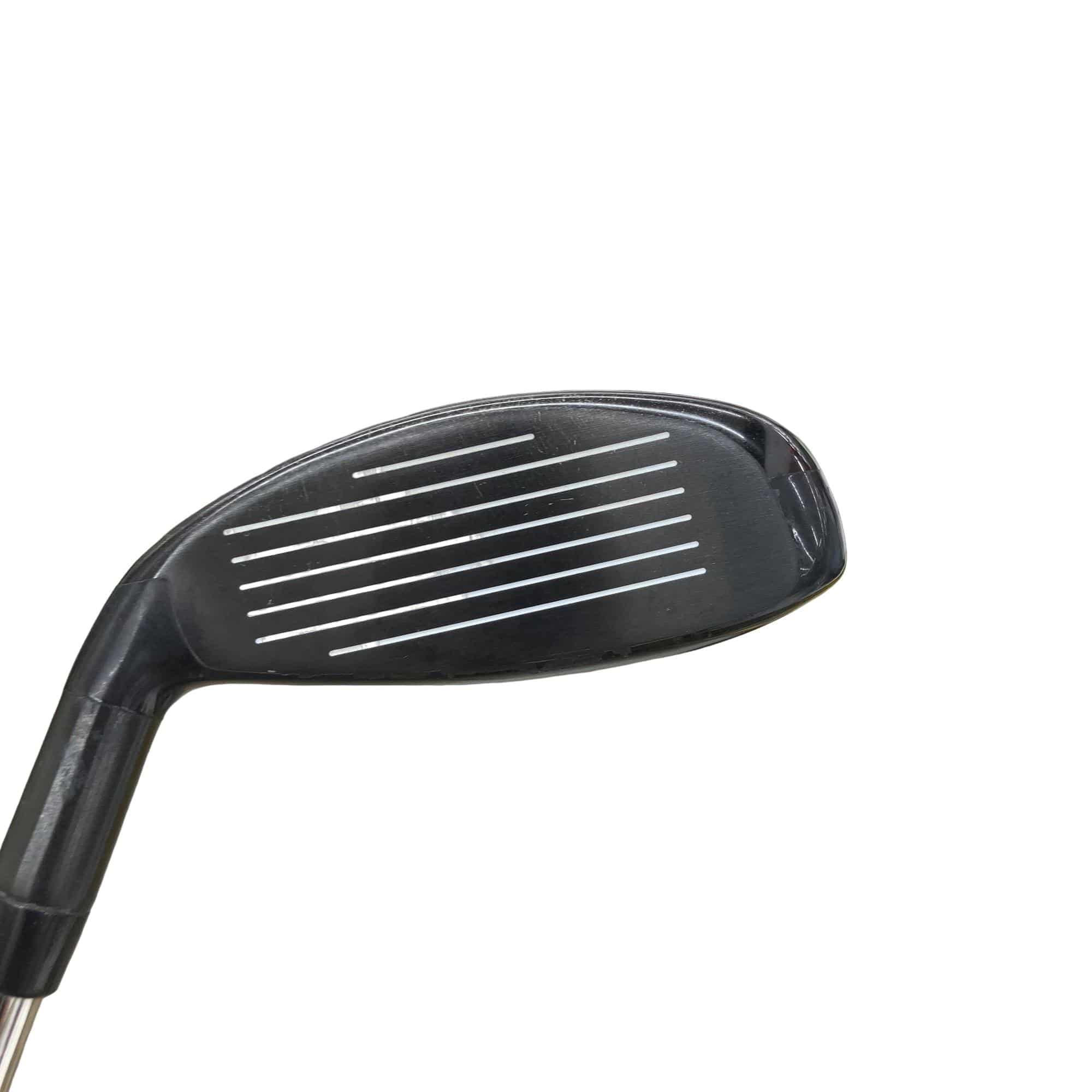 �w�Q�@�g�n�s�@�t�R