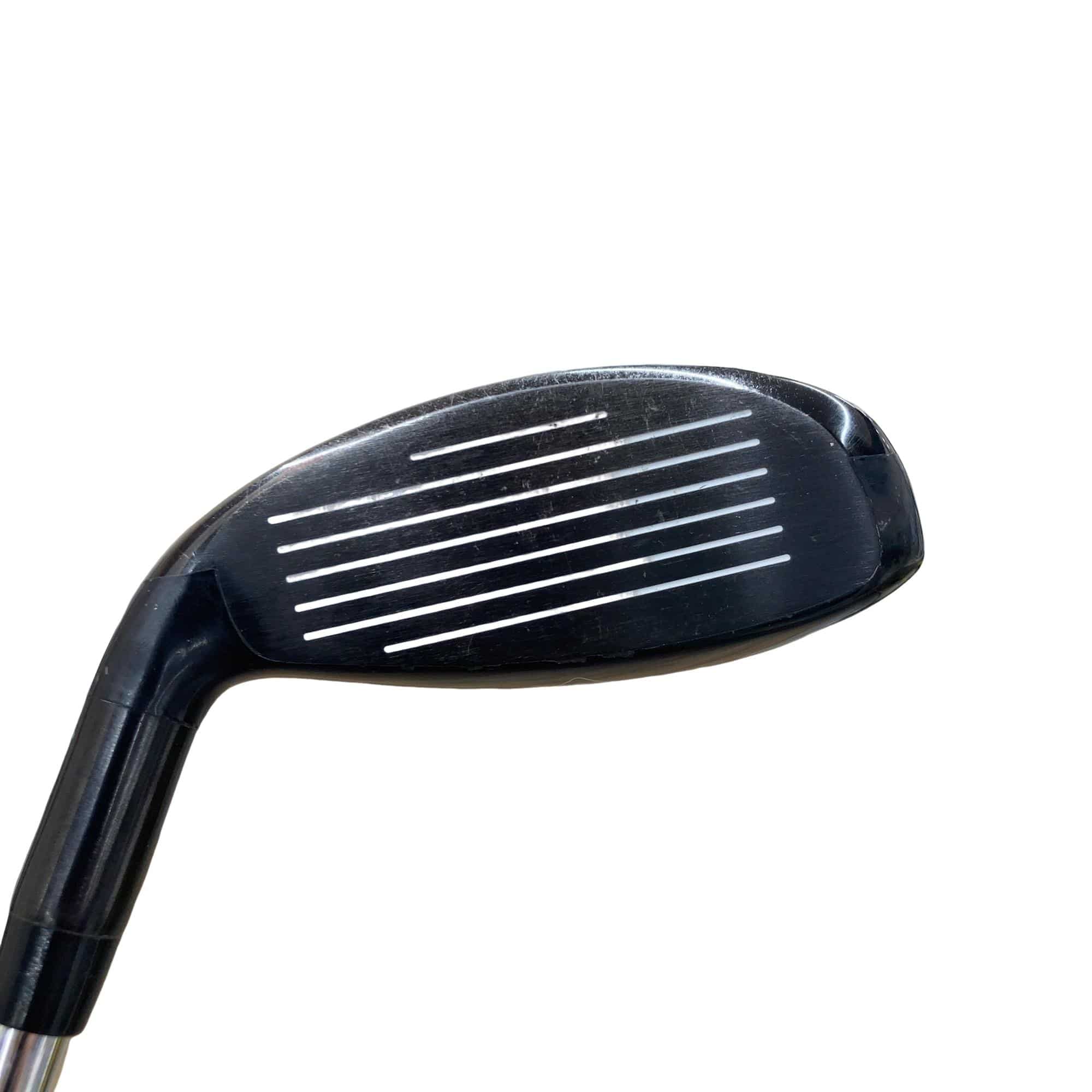 �w�Q�@�g�n�s�@�t�S