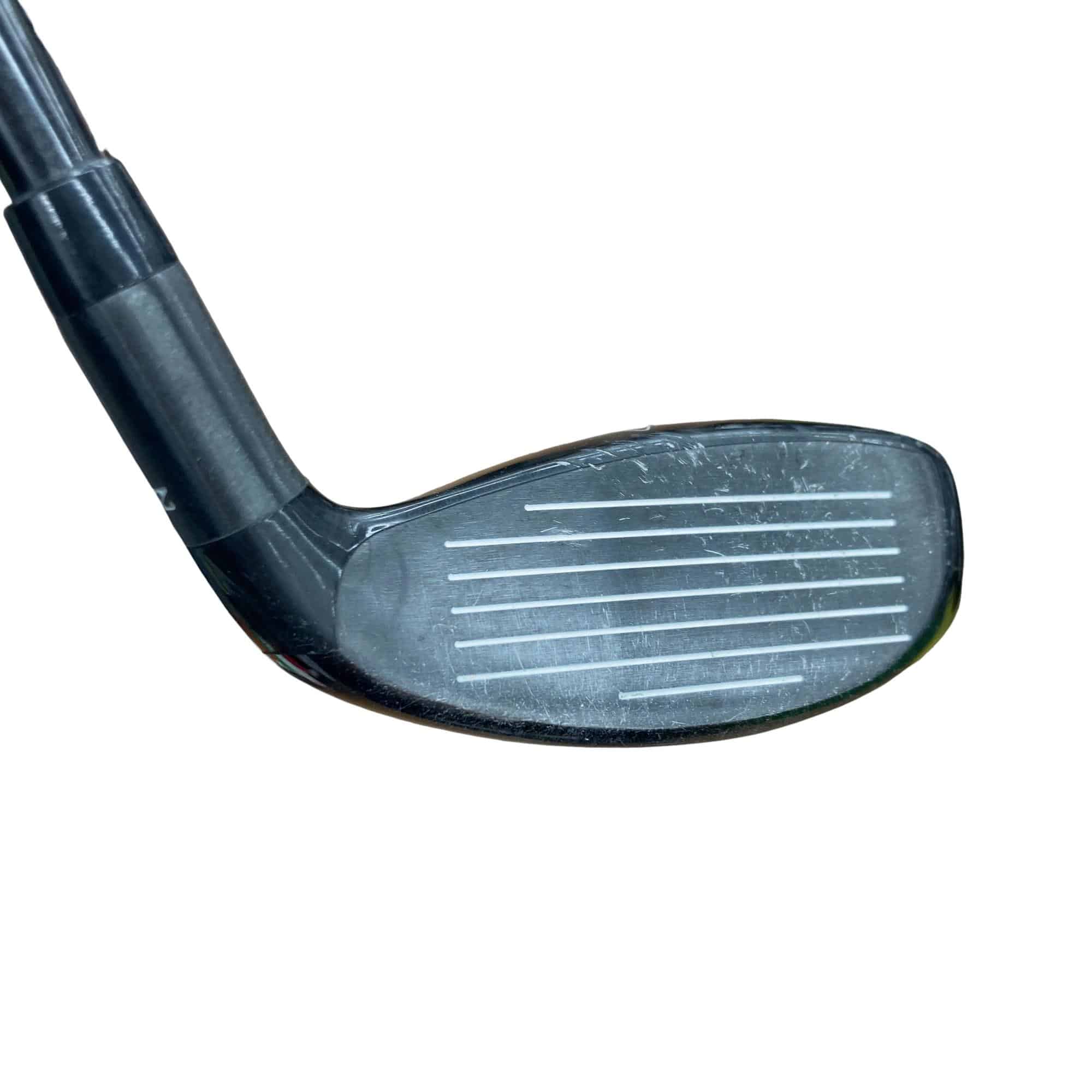 �w�Q�@�g�n�s�@�t�S�@���t�e�B