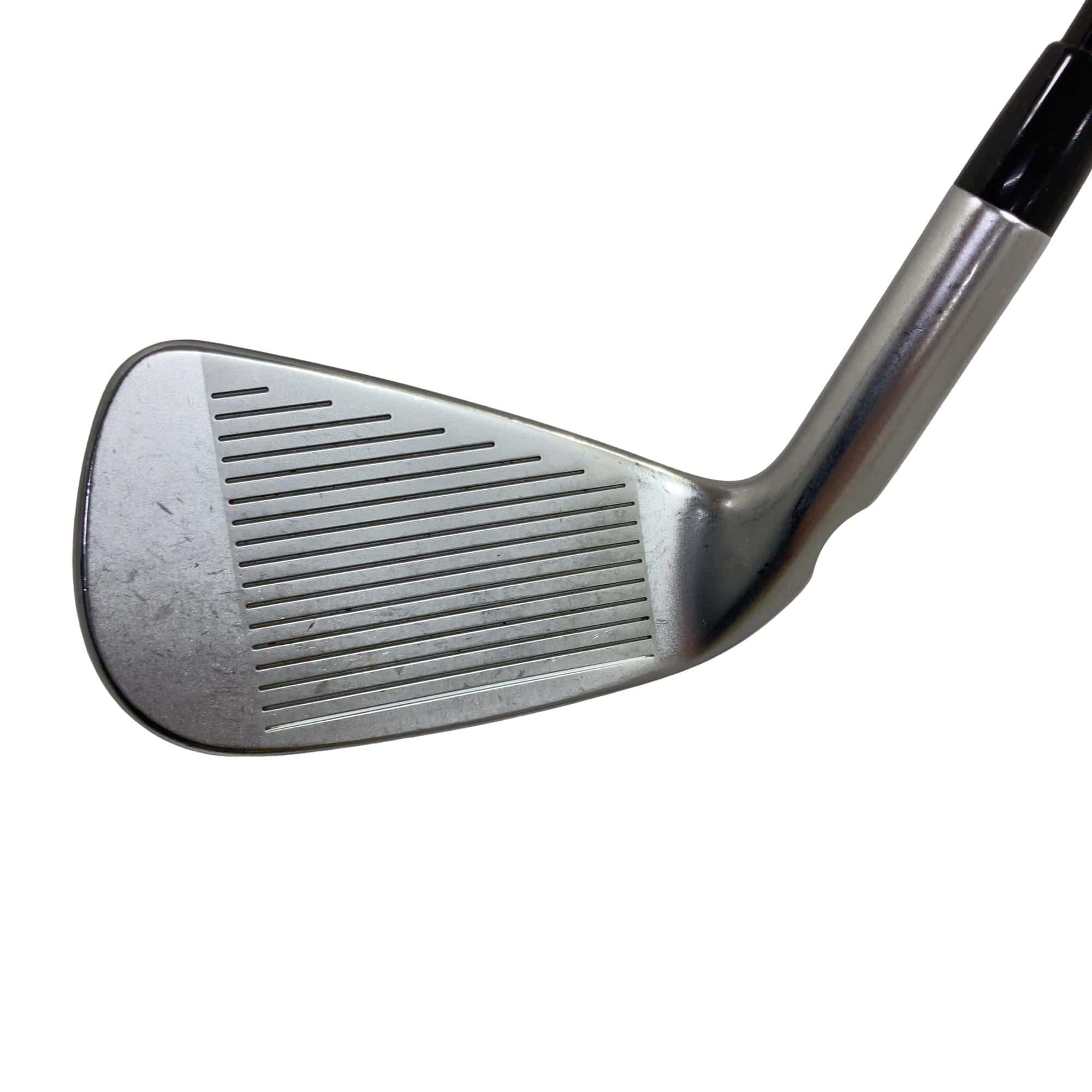 ���T�R�O�@�T�r�i���{���F�T�{�Z�b�g�j