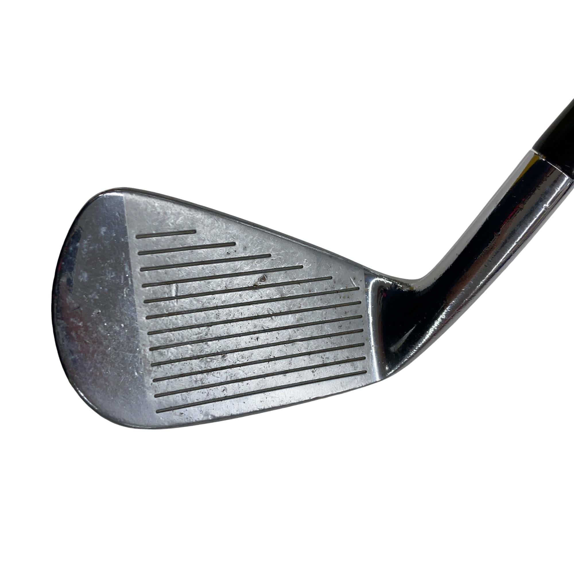 �l�o�|�T�X�@�U�r�i���{���F�T�{�Z�b�g�j