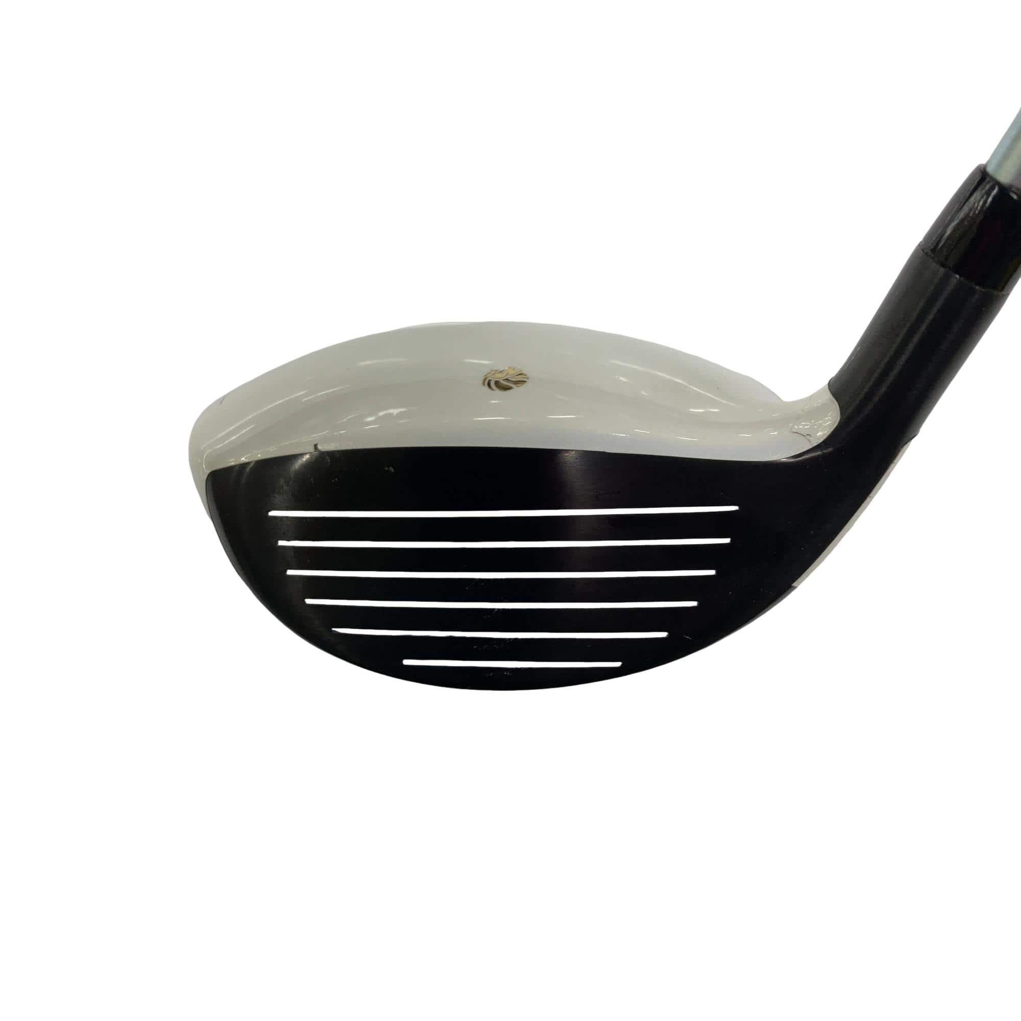 �f�k�n�h�q�d�@�e�i�Q�O�P�U�j�@�T�v