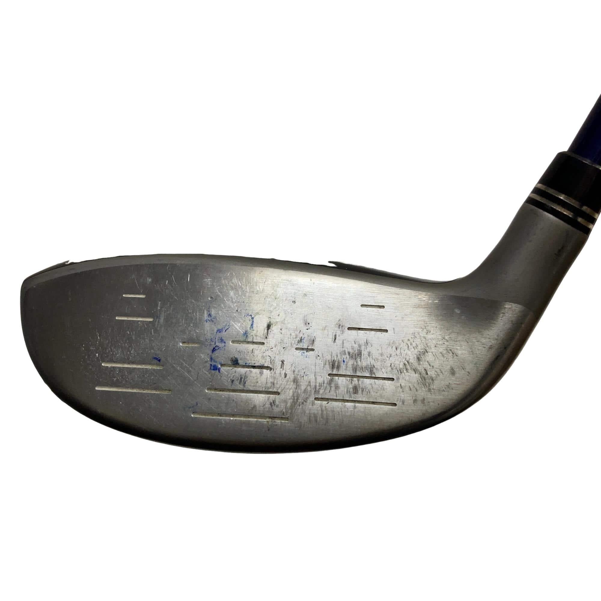 �w�w�h�n�i�Q�O�P�U�j�@�t�U�@���f�B�[�X