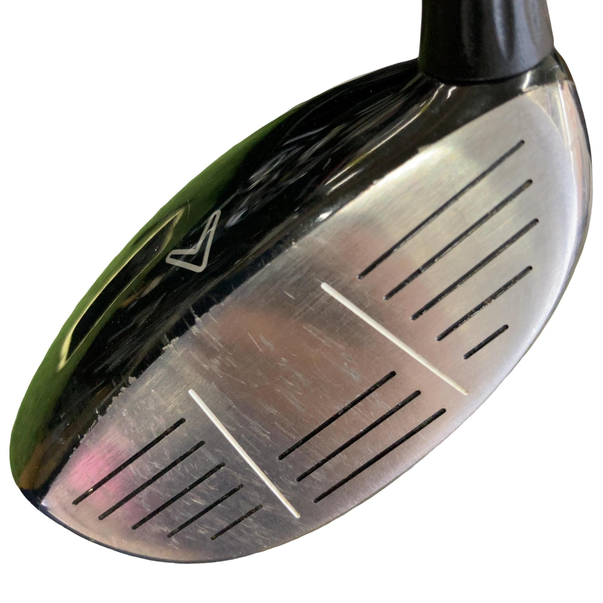 �w�@���[�e�B���e�B�@�S�g�@�t�r�`