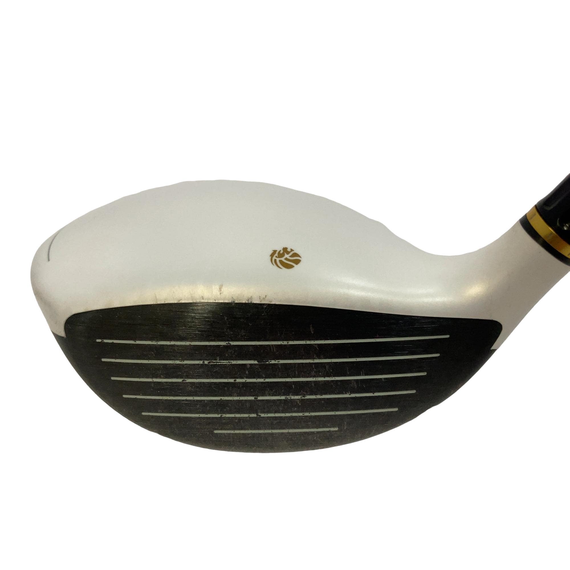 �f�k�n�h�q�d�@�R�v