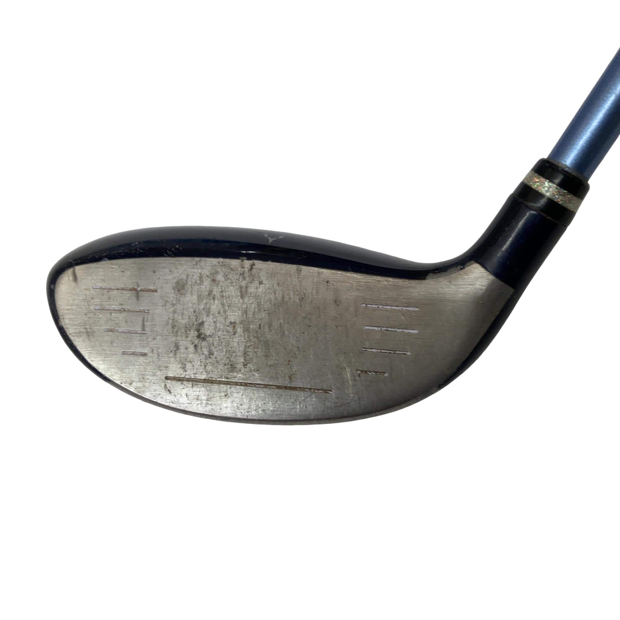 �������������@�t�c�{�Q�@�t�U�@���f�B�[�X