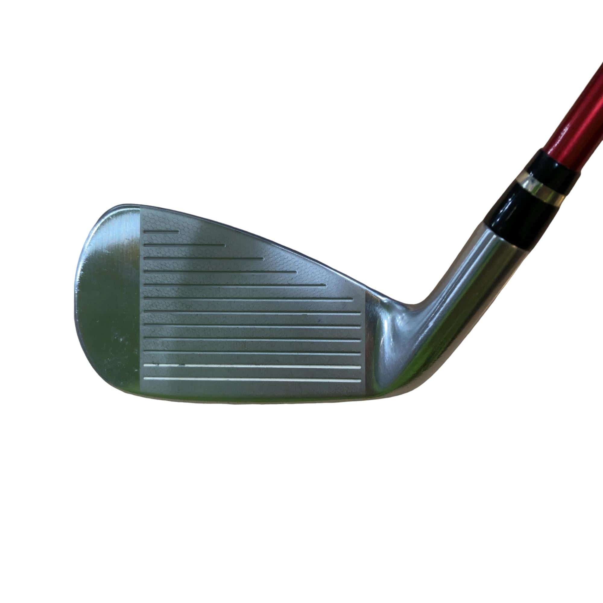 �������������@�q�l�w�@�t�c�{�Q�@�V�r�i���{���F�T�{�Z�b�g�j