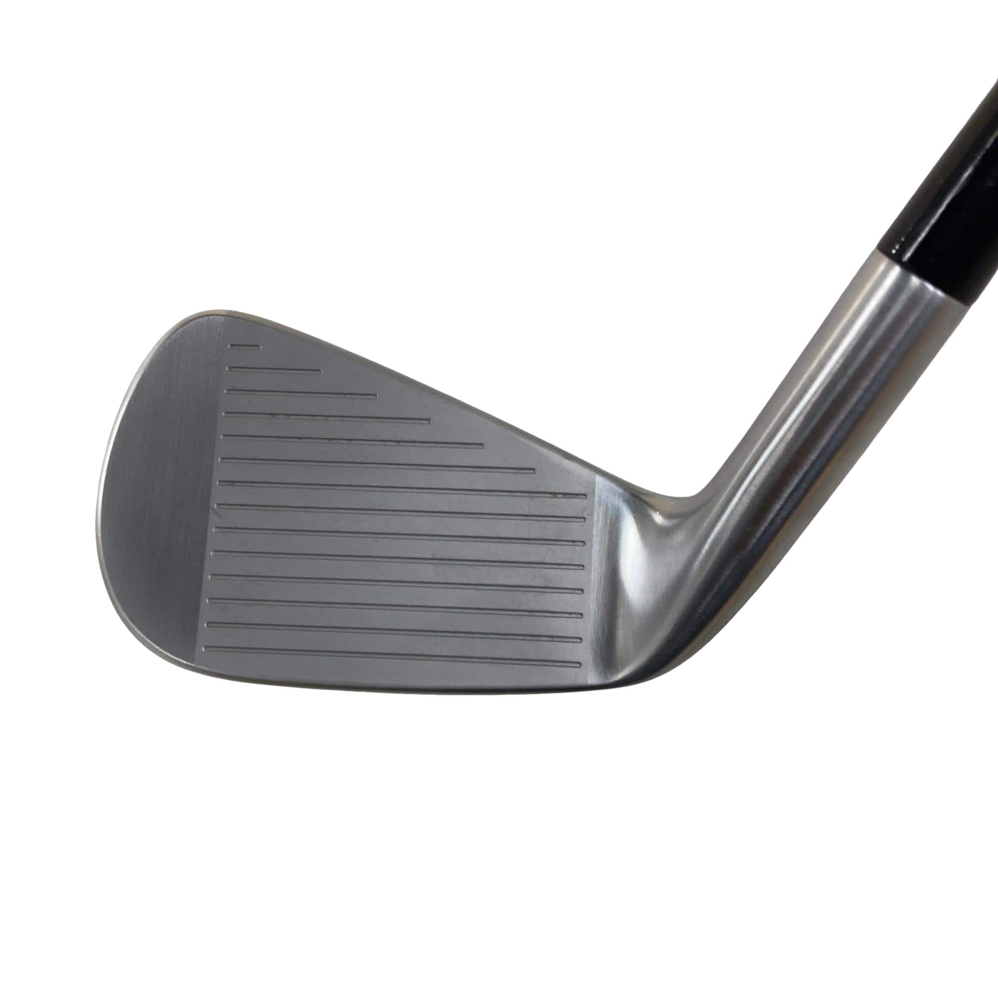 �s�����������@�l�������@�o�E�V�b�a�i�Q�O�Q�S�j�@�T�r�i���{���F�T�{�Z�b�g�j