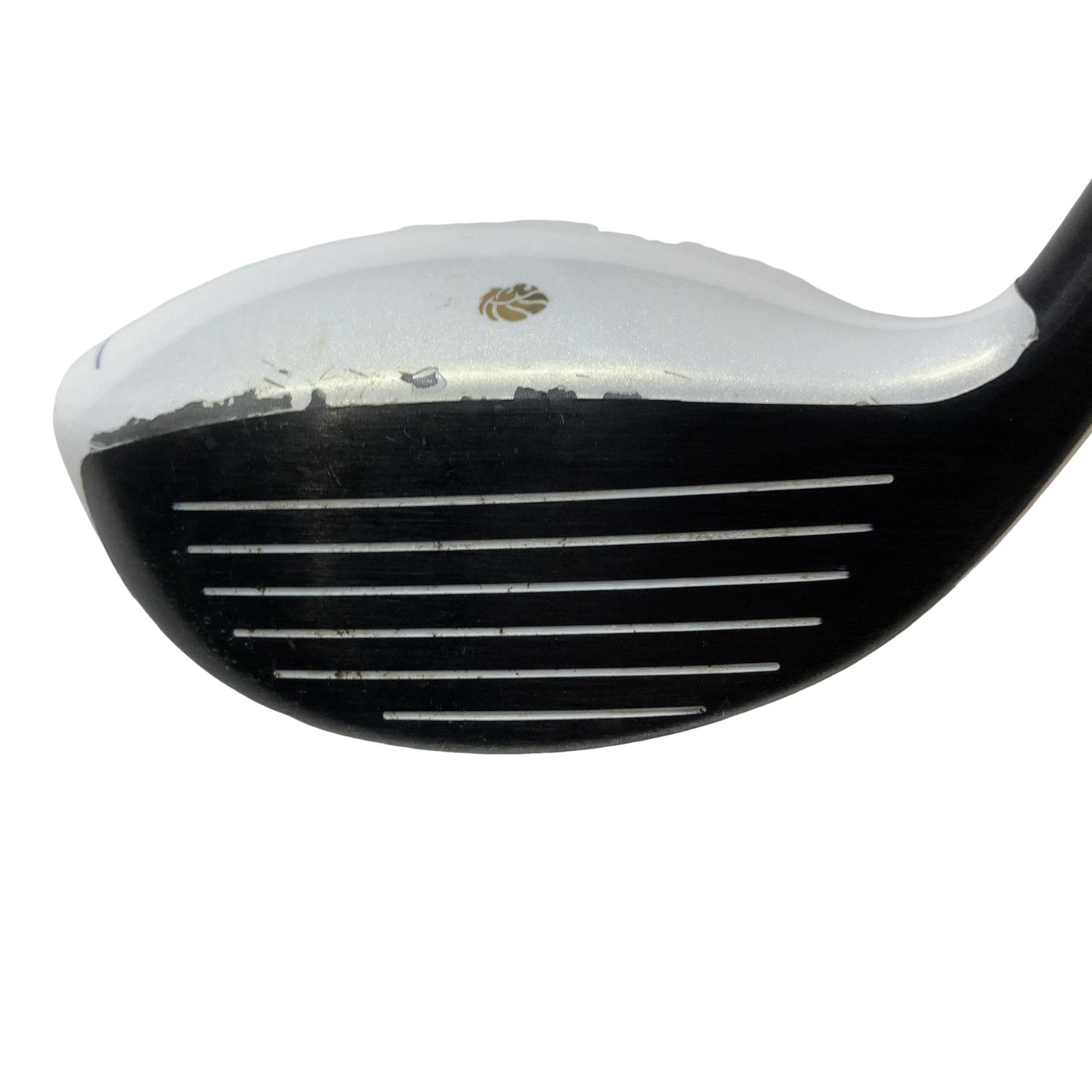 �f�k�n�h�q�d�@�e�i�Q�O�P�U�j�@�T�v