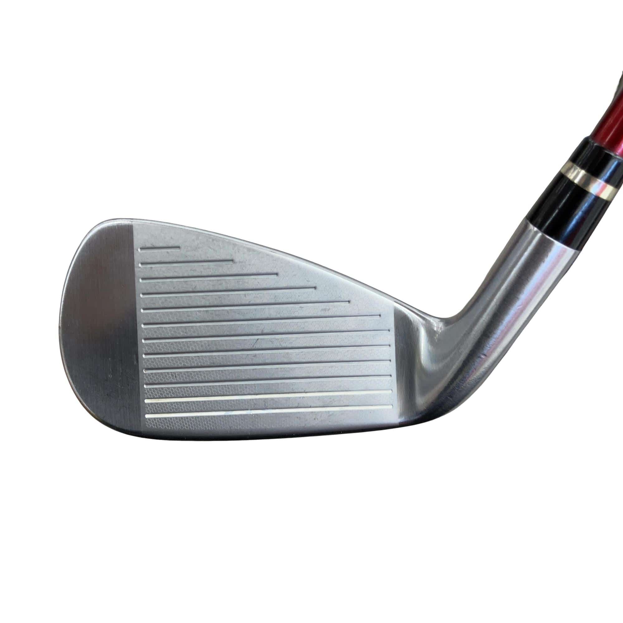 �������������@�q�l�w�@�t�c�{�Q�@�V�r�i���{���F�T�{�Z�b�g�j