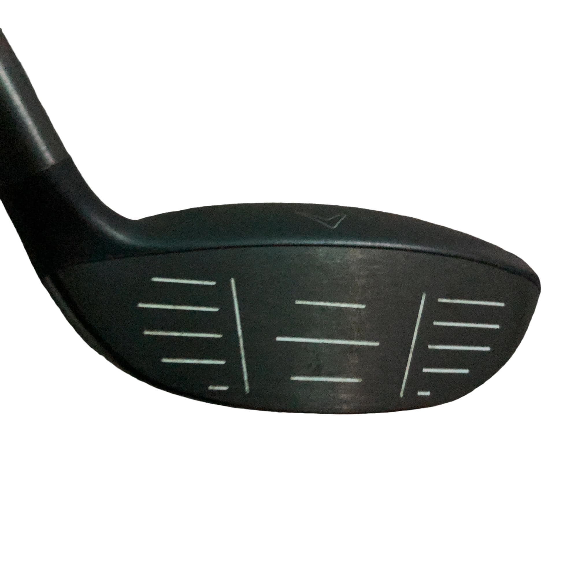 �q�n�f�t�d�@�r�s�@�l�`�w�@�@�T�v�@���t�e�B