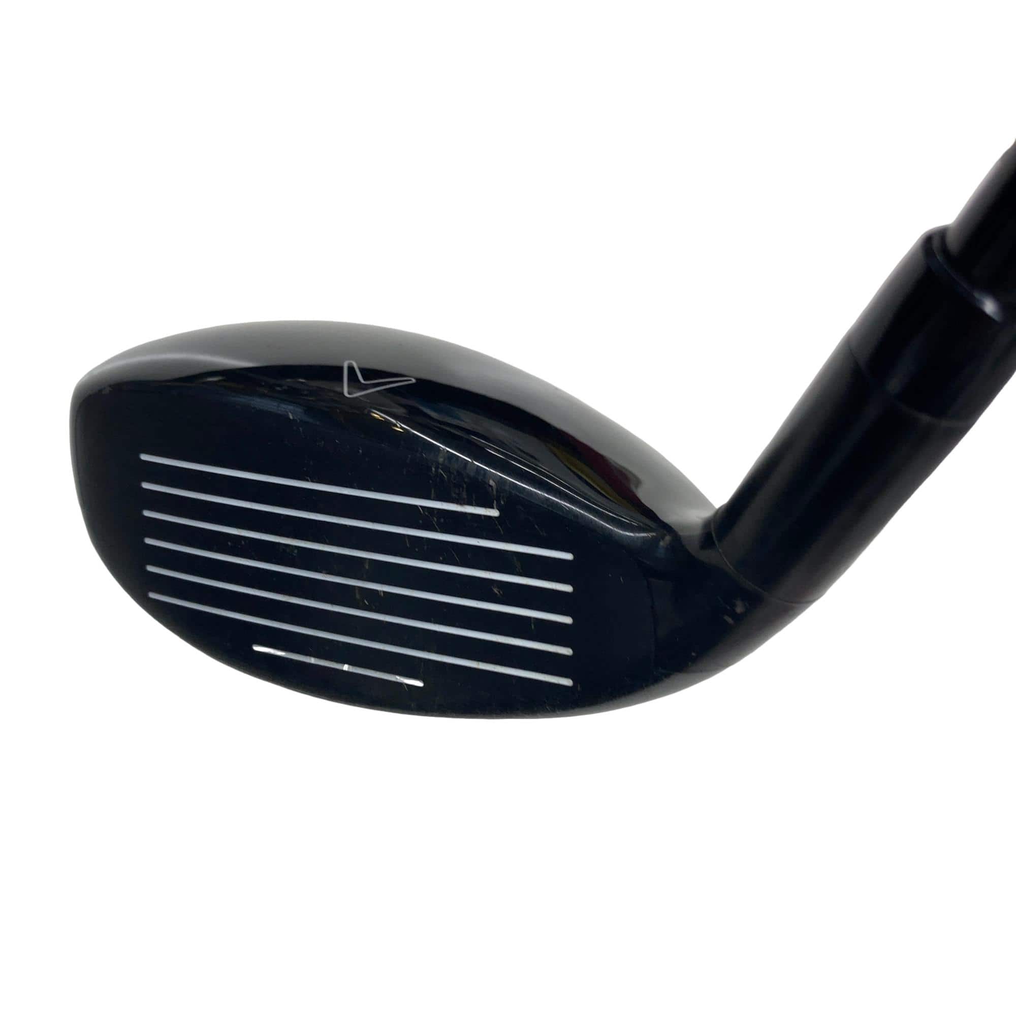 �w�Q�@�g�n�s�@�t�T