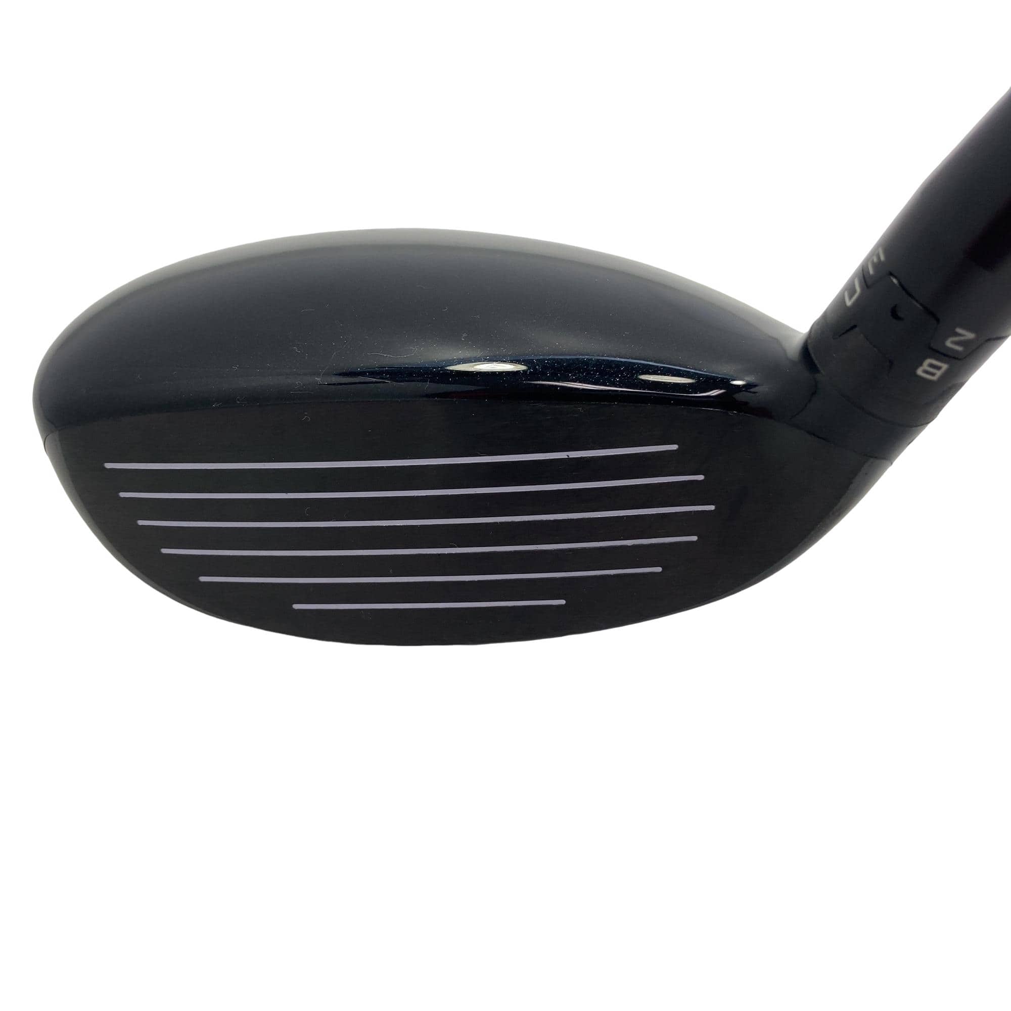 �X�P�T�@�g�@�t�R