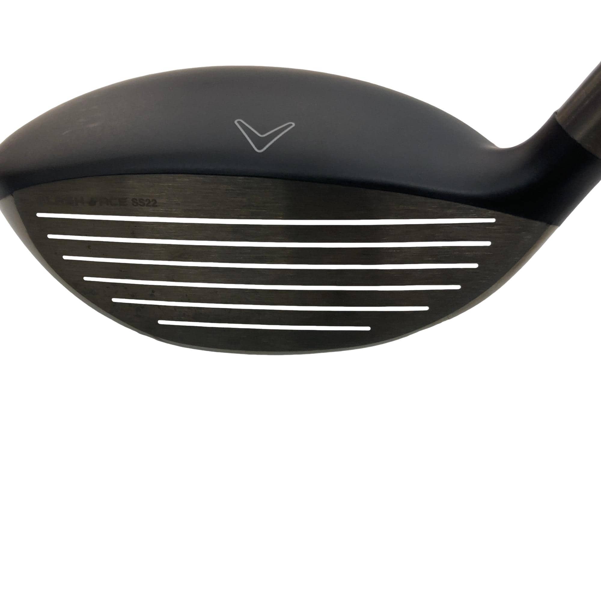 �q�n�f�t�d�@�r�s�@�k�r�@�S�v