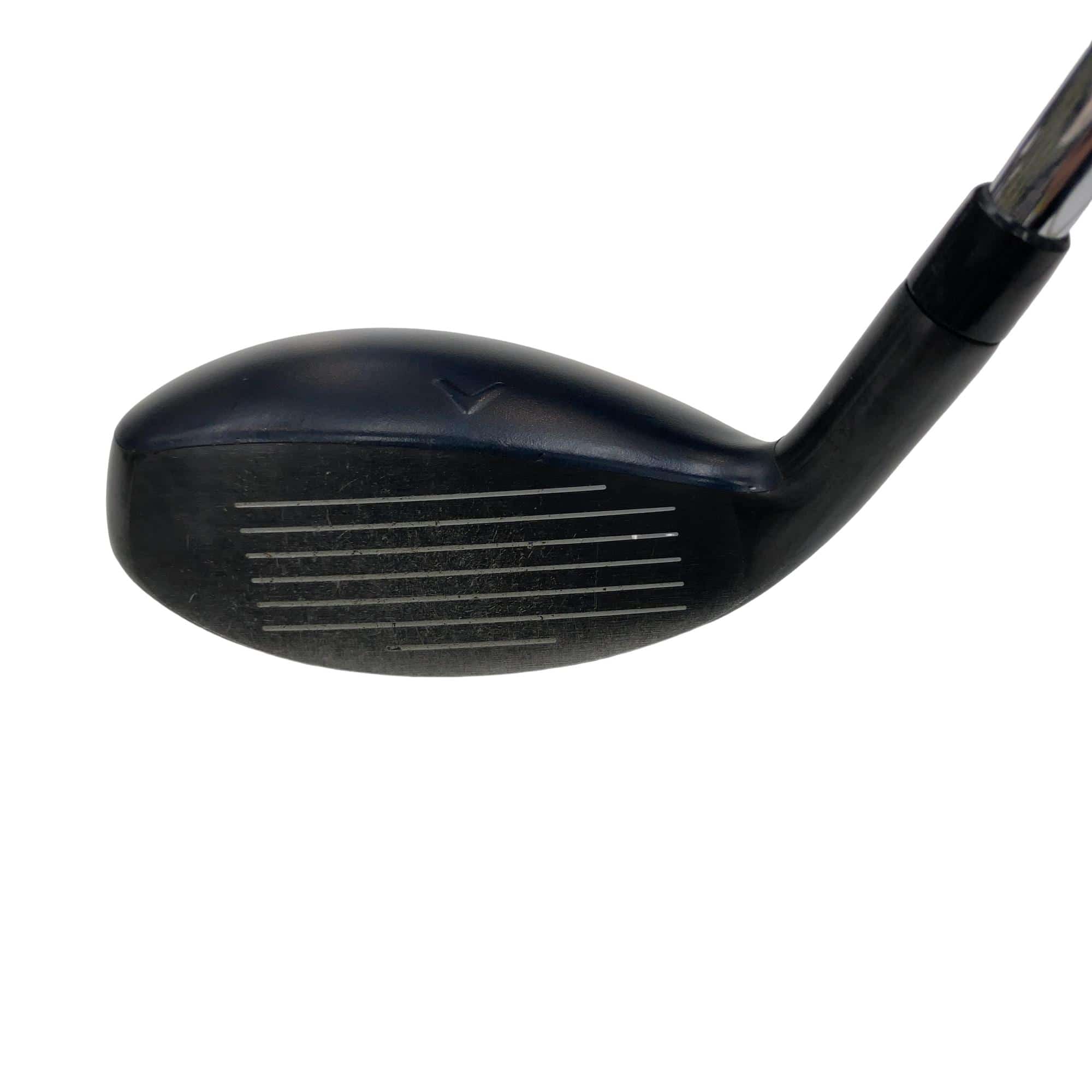 �w�q�@�t�T