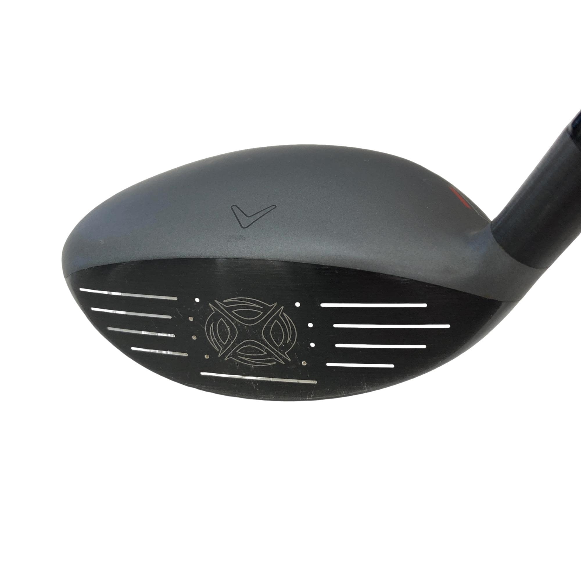 �w�@�g�n�s�@�@�S�v�@�t�r�`